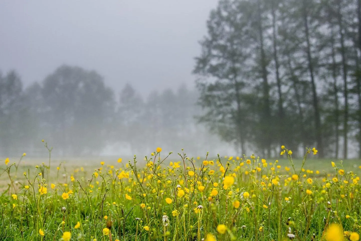 Natural landscape in Hotel Barczyzna Medical Spa