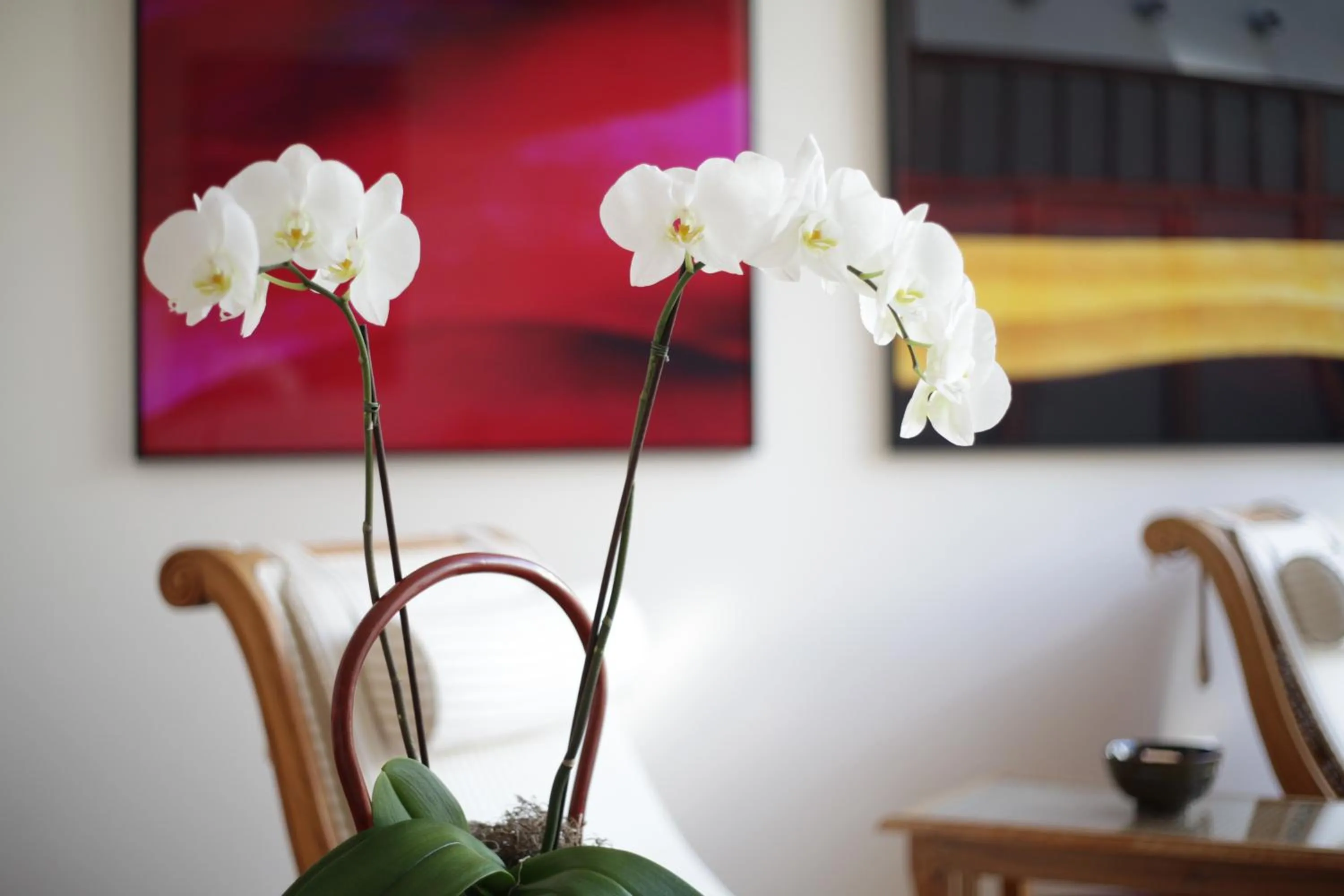 Spa and wellness centre/facilities in Hotel Stadt Hamburg