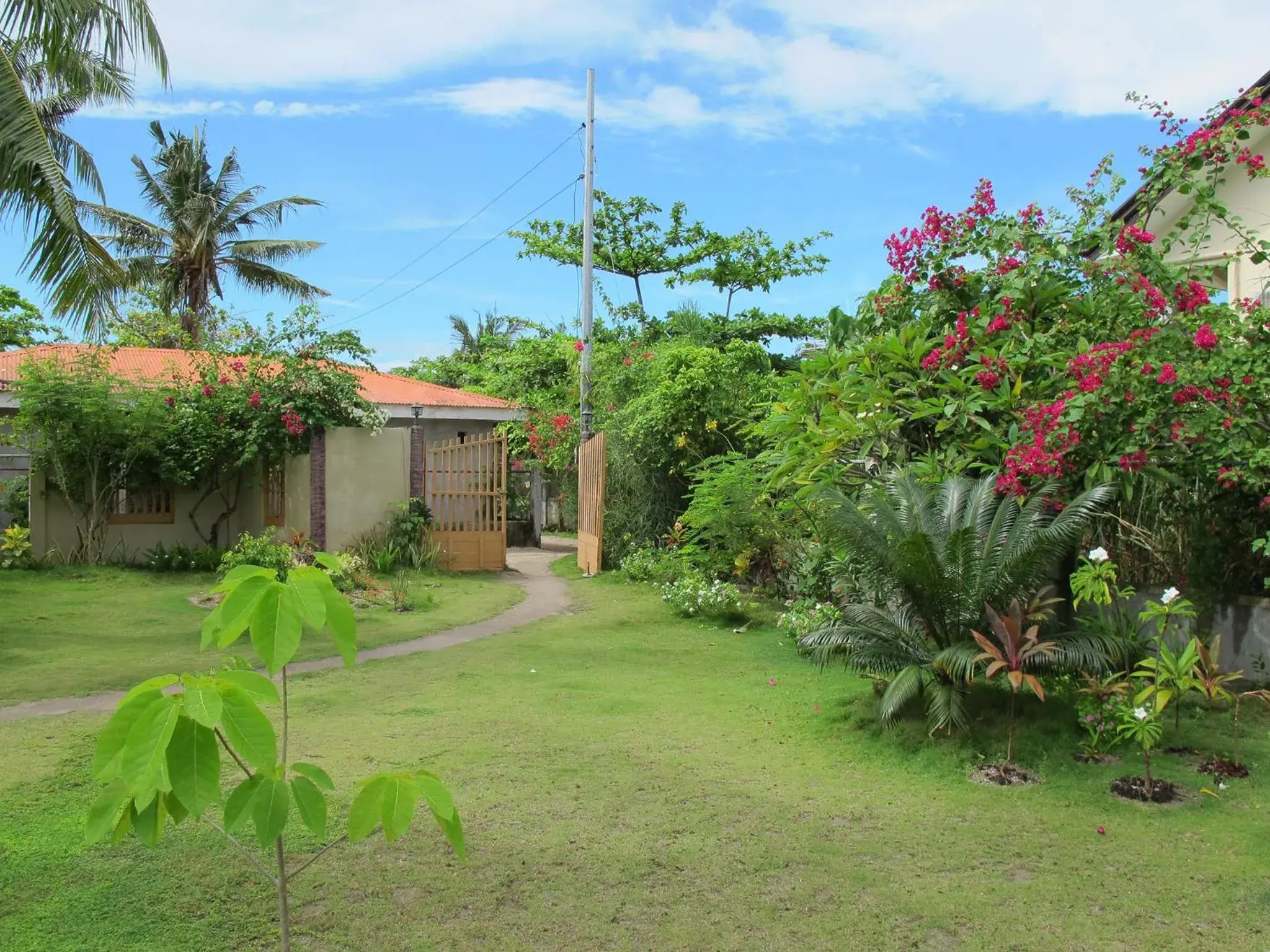 Garden view in Celtis Resort Garden view in Celtis Resort