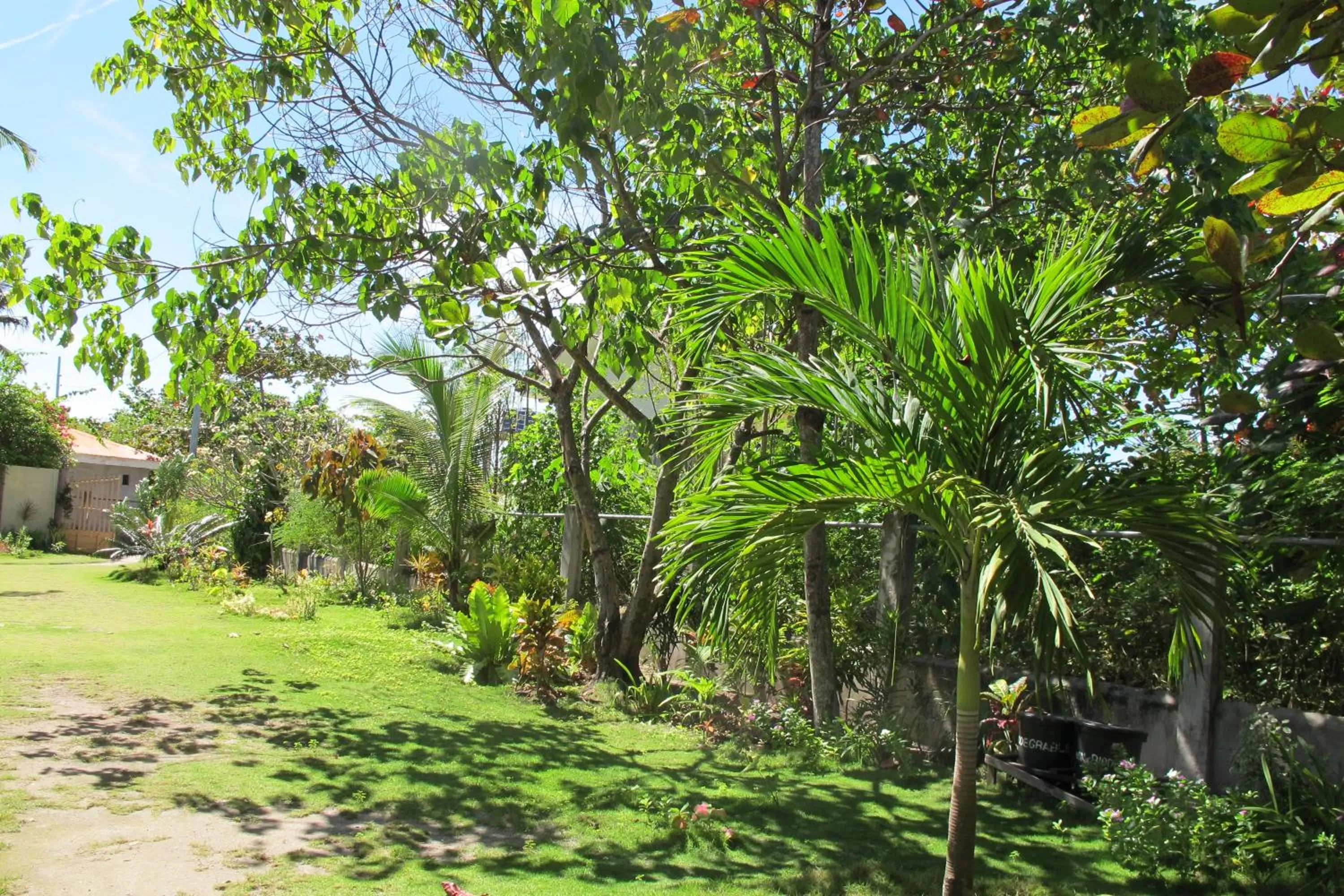 Garden view in Celtis Resort