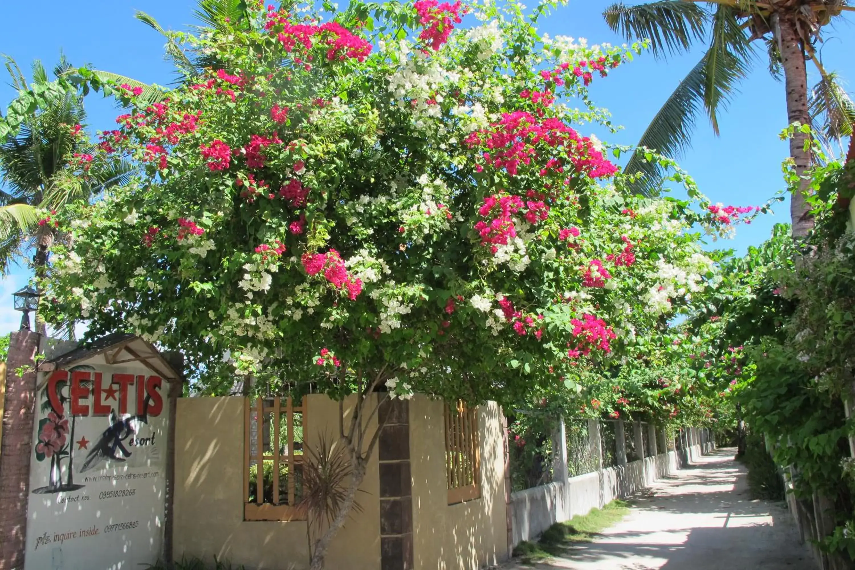 Street view in Celtis Resort Street view in Celtis Resort
