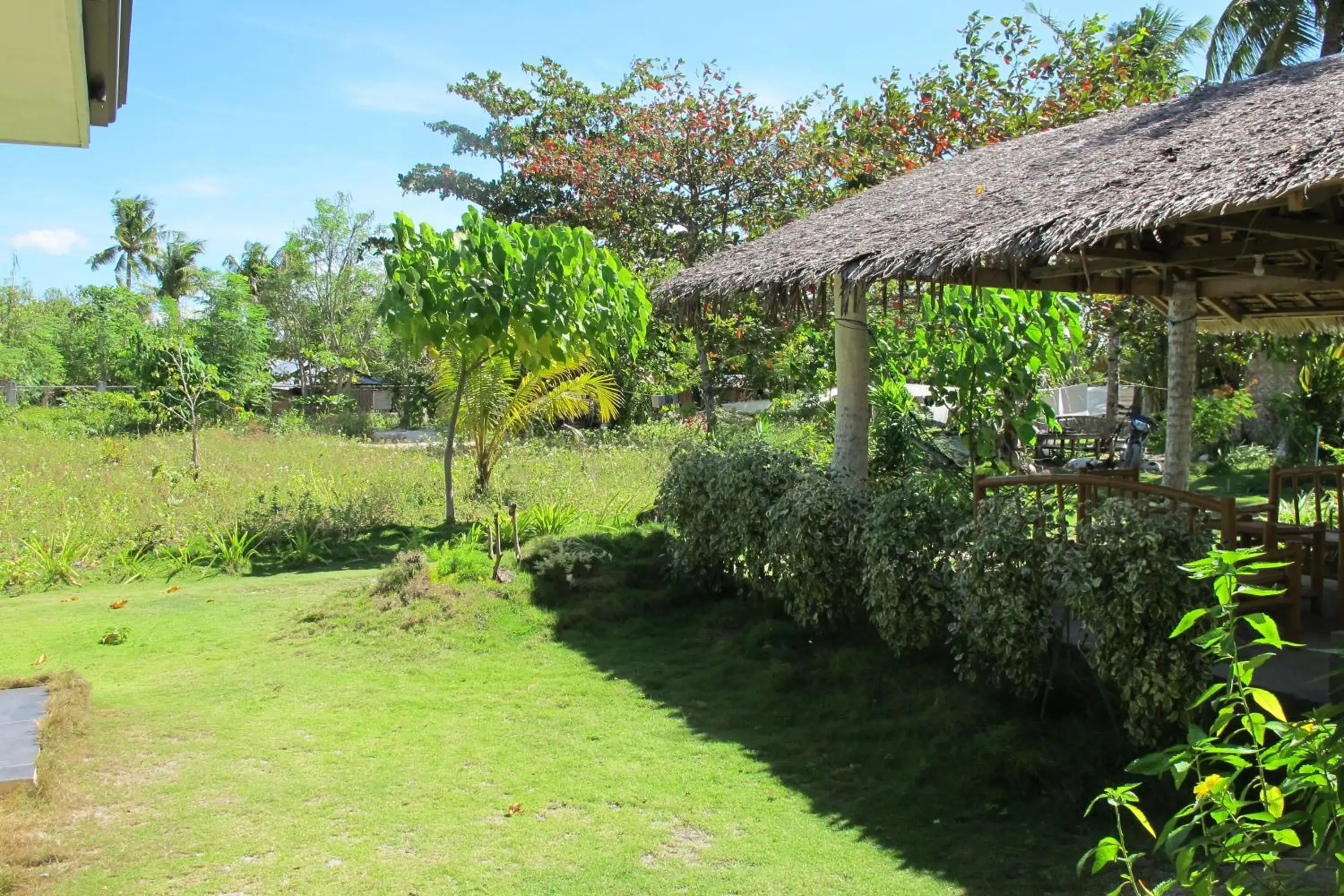 Garden view in Celtis Resort Garden view in Celtis Resort