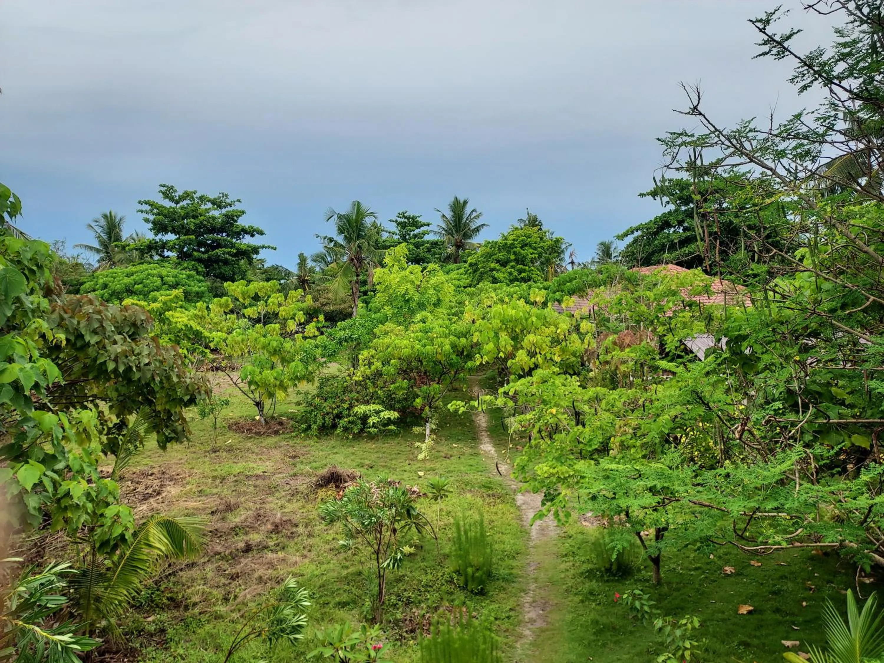 Garden in Celtis Resort