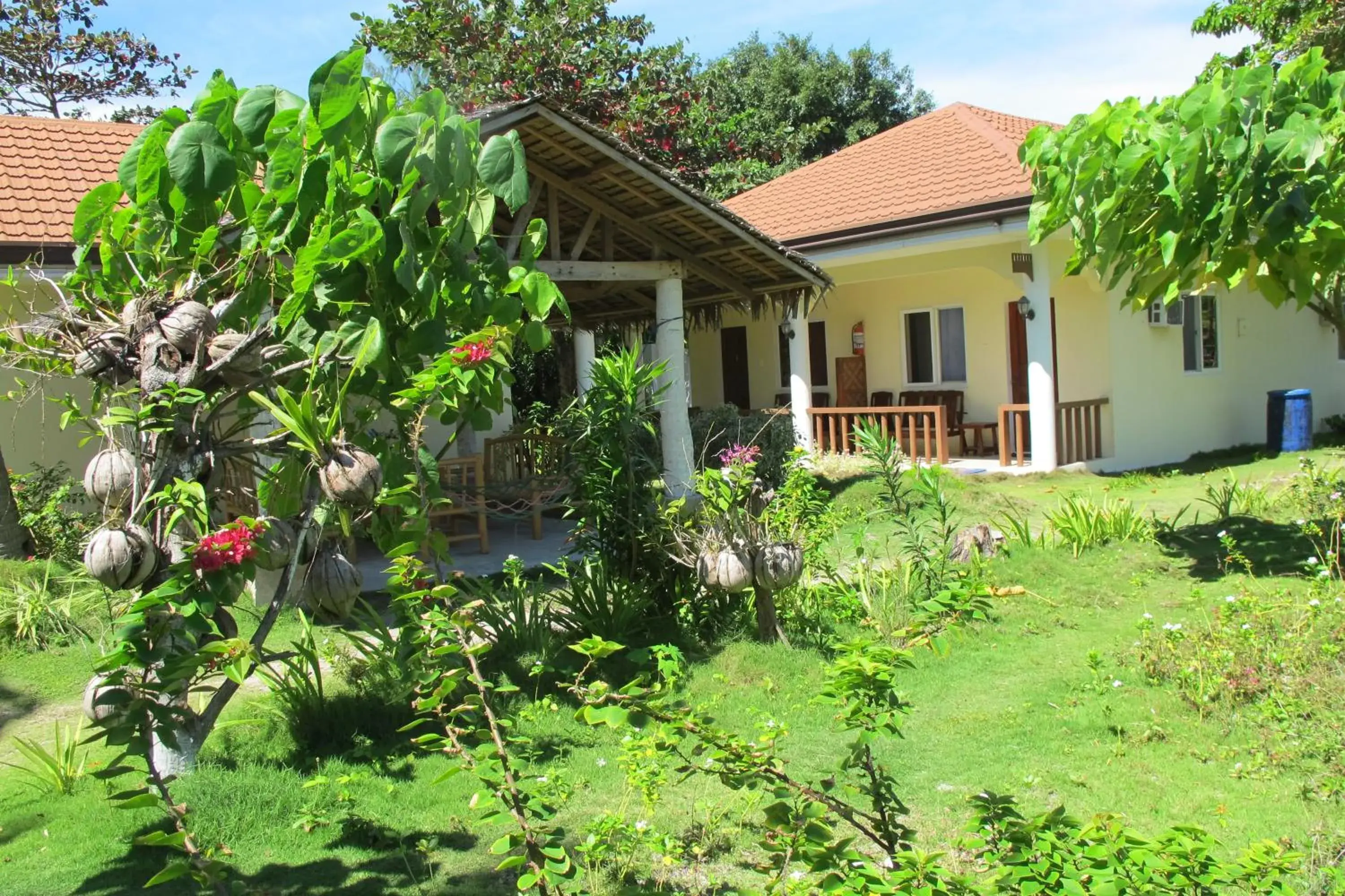 Garden view in Celtis Resort Garden view in Celtis Resort
