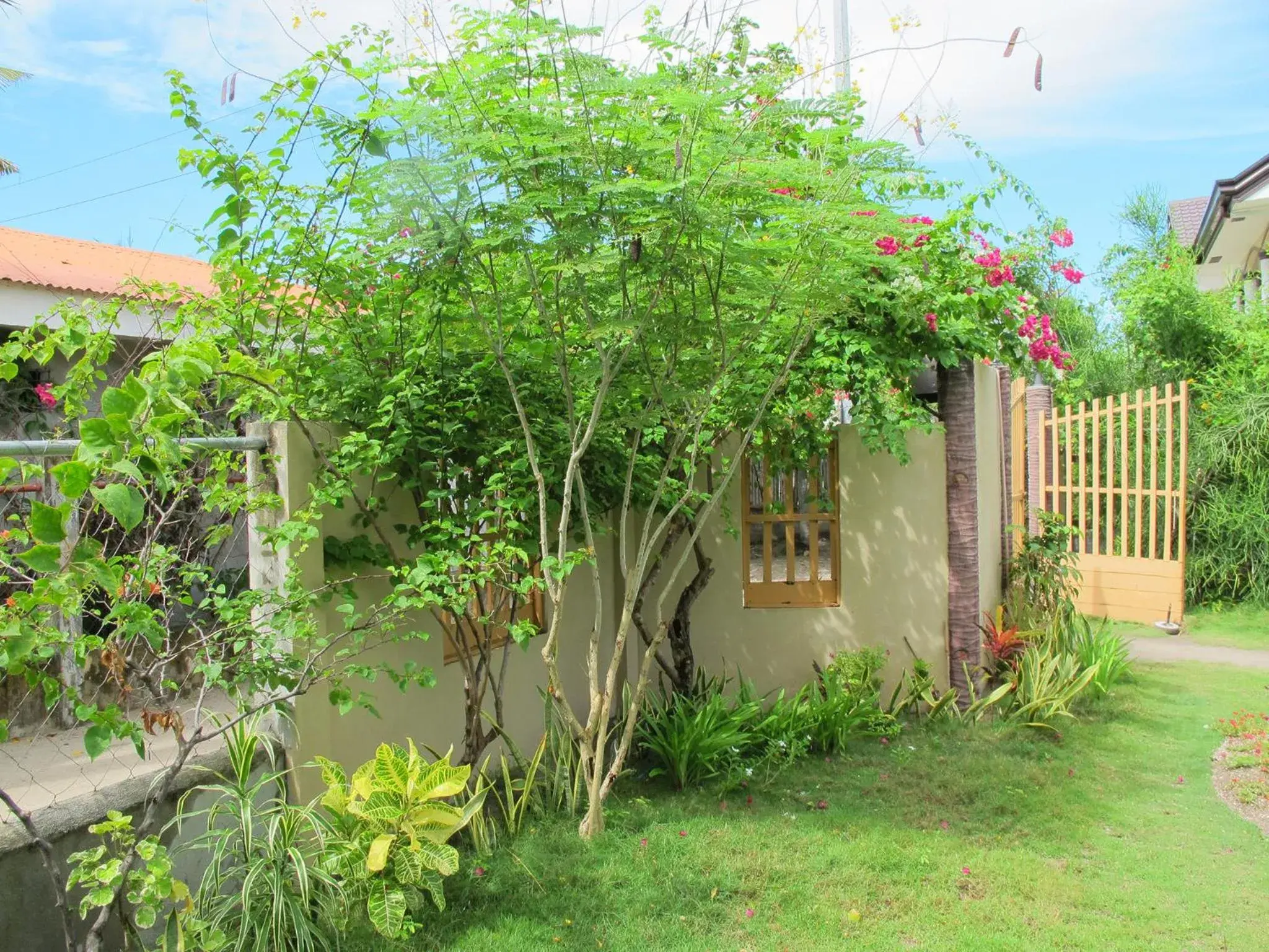 Garden view in Celtis Resort Garden view in Celtis Resort
