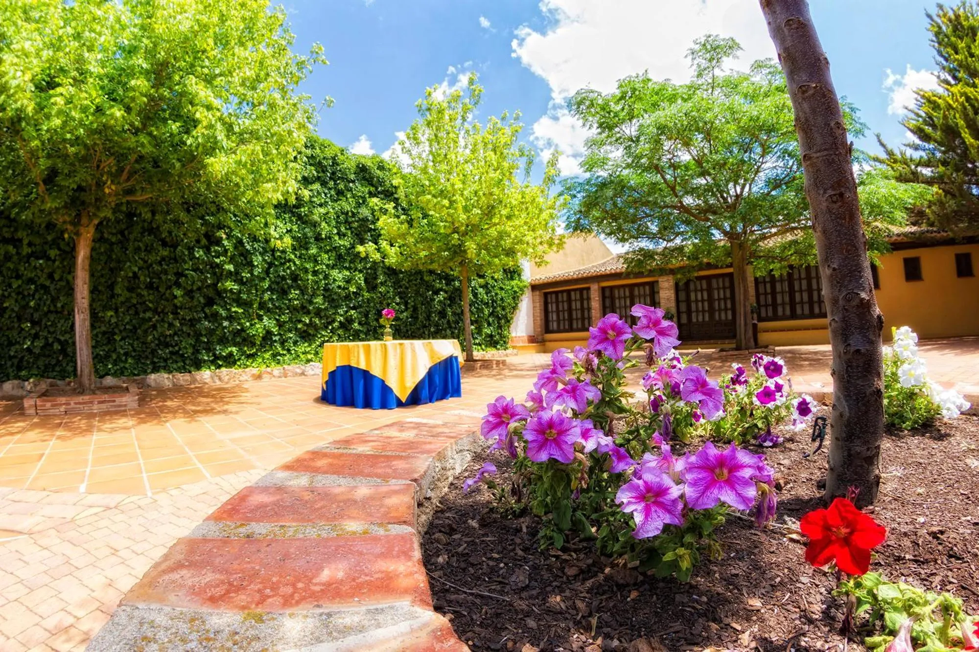 Garden in Hotel Bodega La Venta