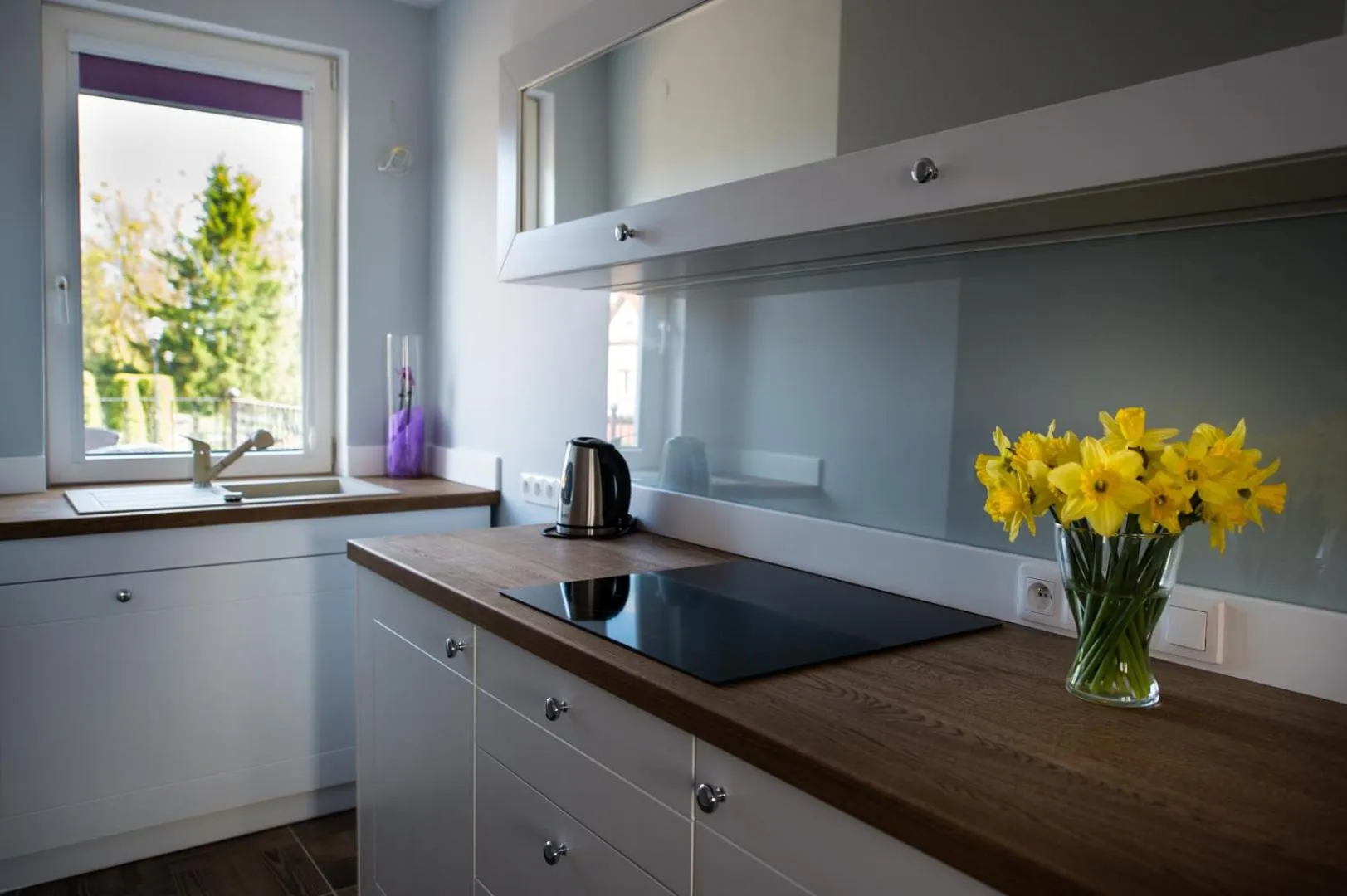 Kitchen or kitchenette in Hotel Nad Pisą