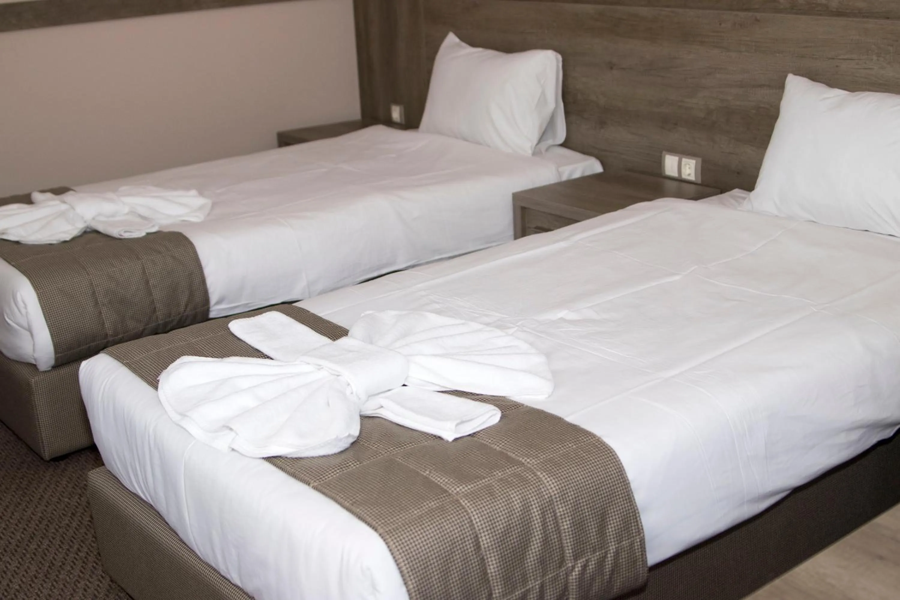 Bed in Hotel Etropolia