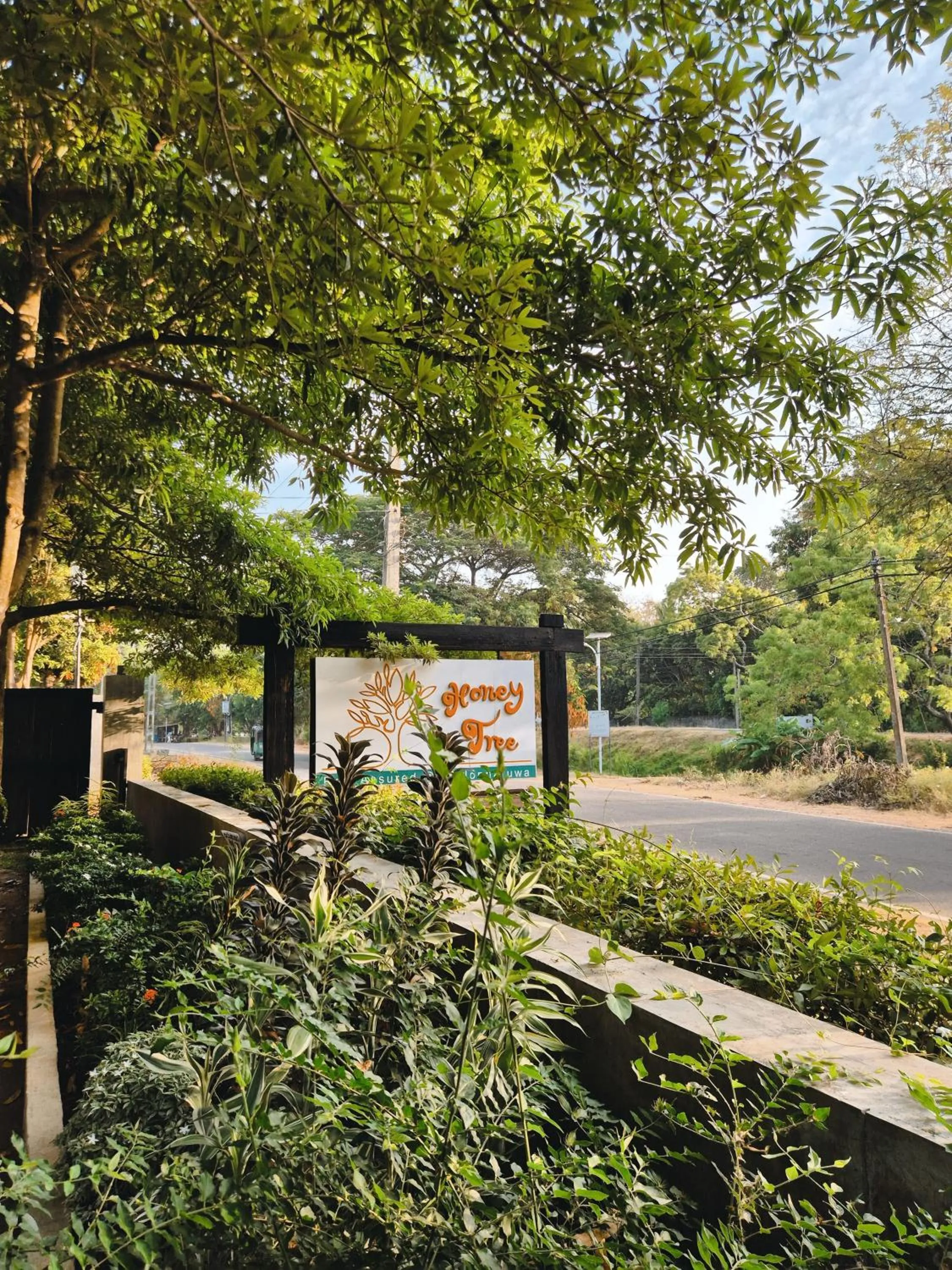 Garden in Honey Tree Polonnaruwa