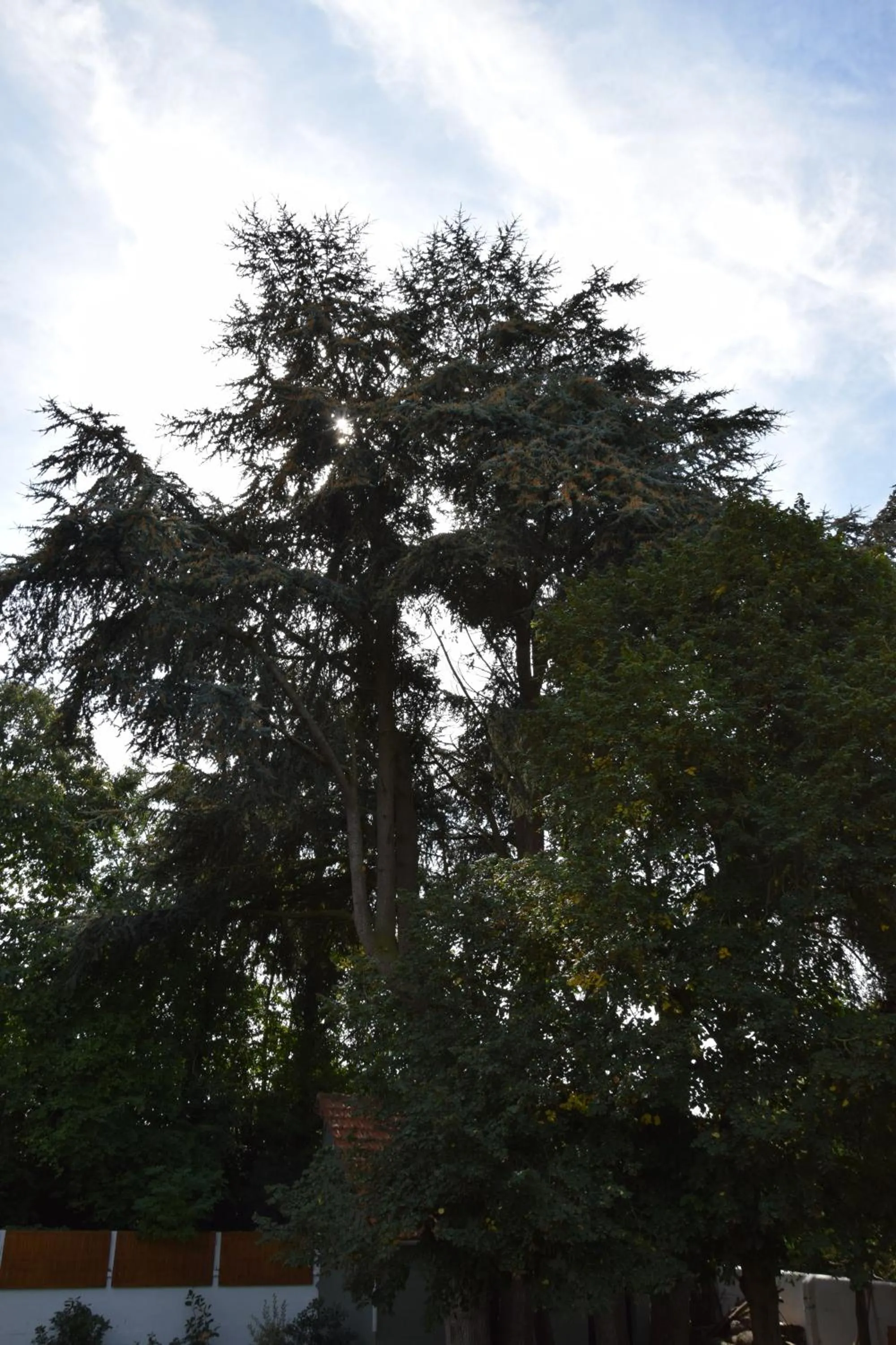 Natural landscape in Mont B&B