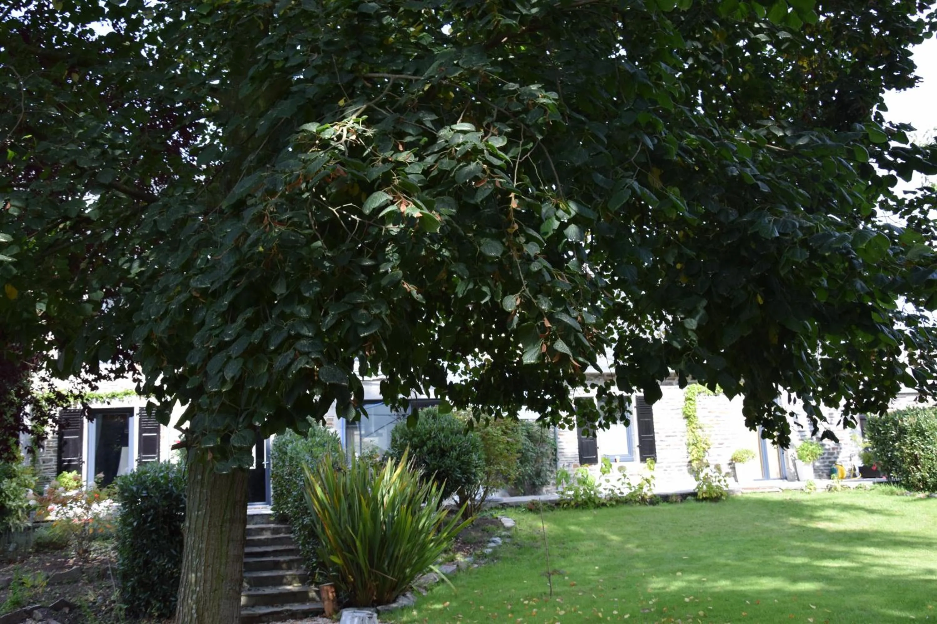 Natural landscape in Mont B&B