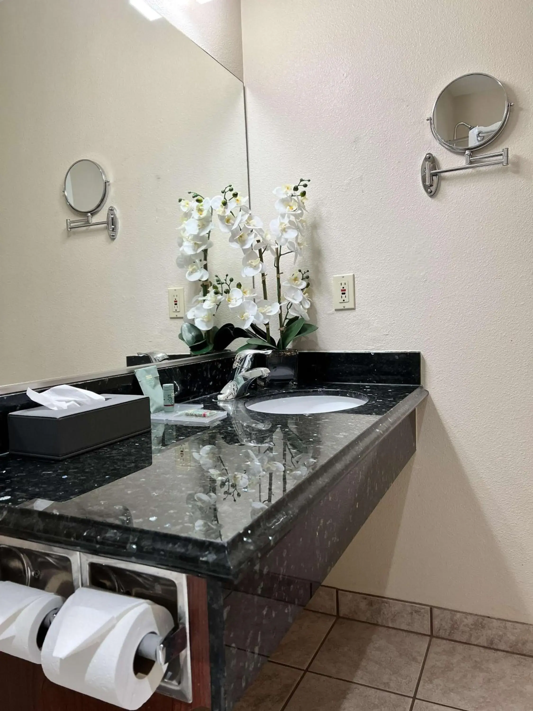 King Room with Walk-in Shower - Disability Access in Best Western Americana King Room with Walk-in Shower - Disability Access in Best Western Americana
