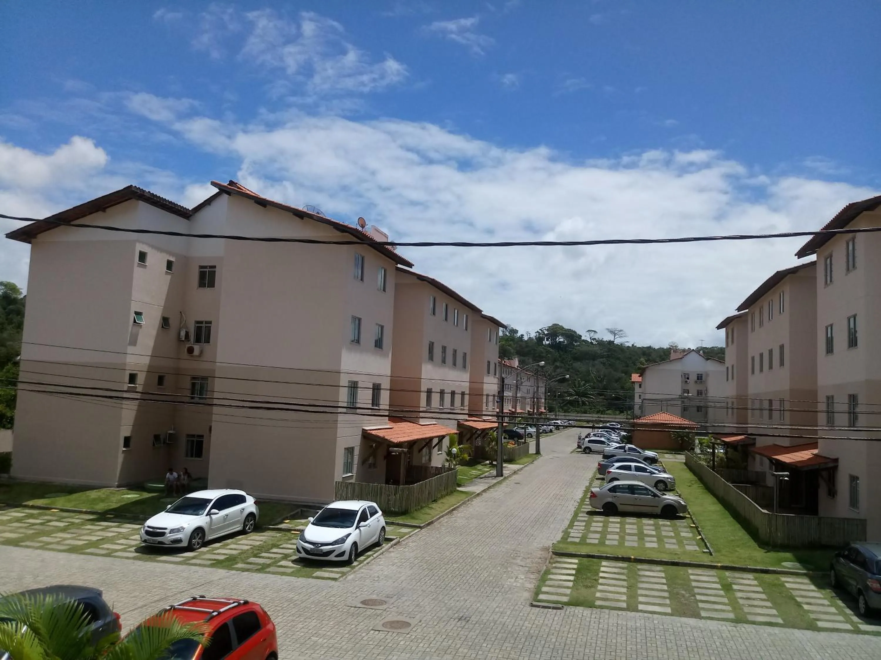 Pets in Sossego em Ilhéus