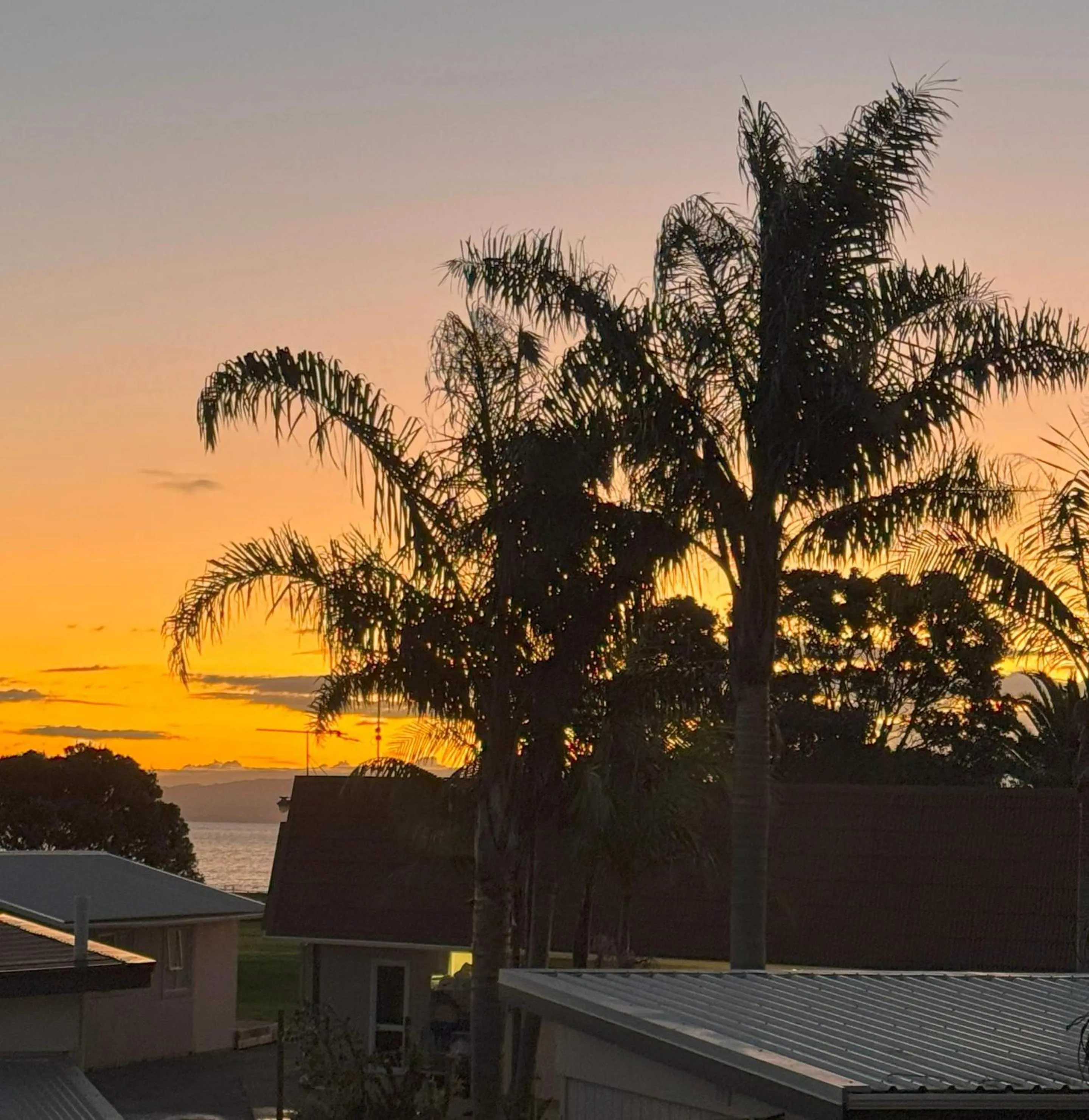 Property building in Comfort Inn Sunset