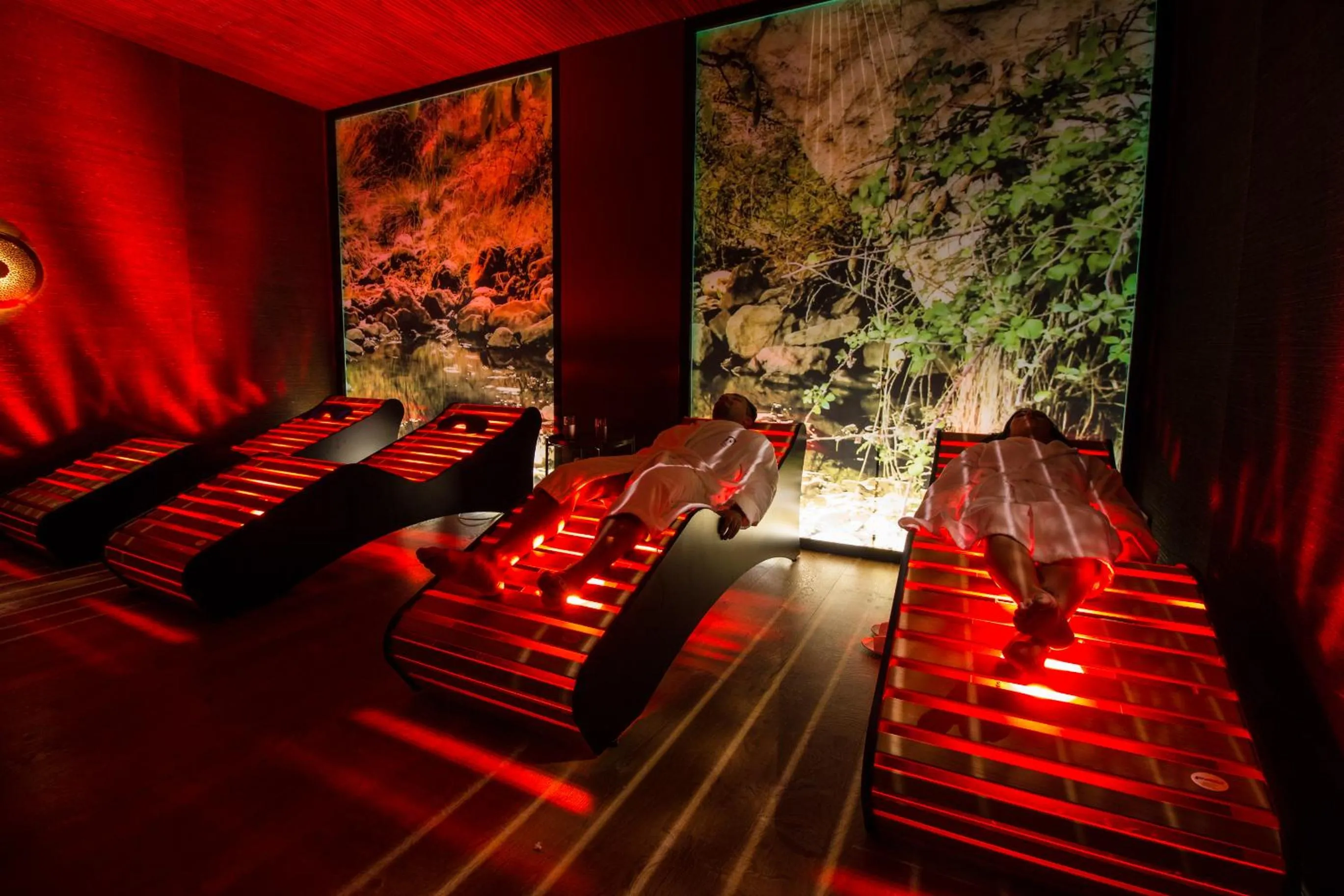 Sauna in Hotel Spa Balfagon