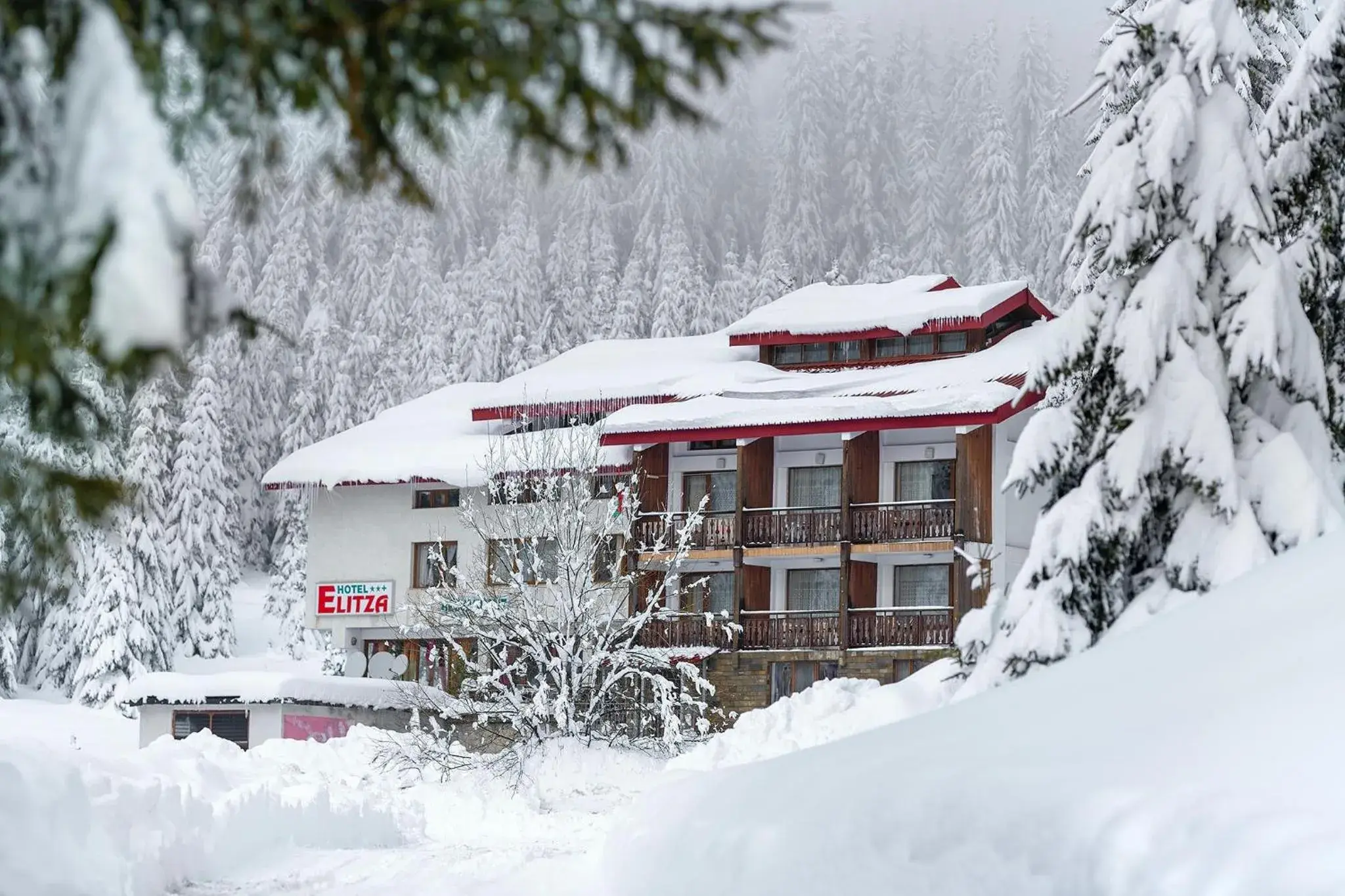 Hotel Elitza Hotel Elitza
