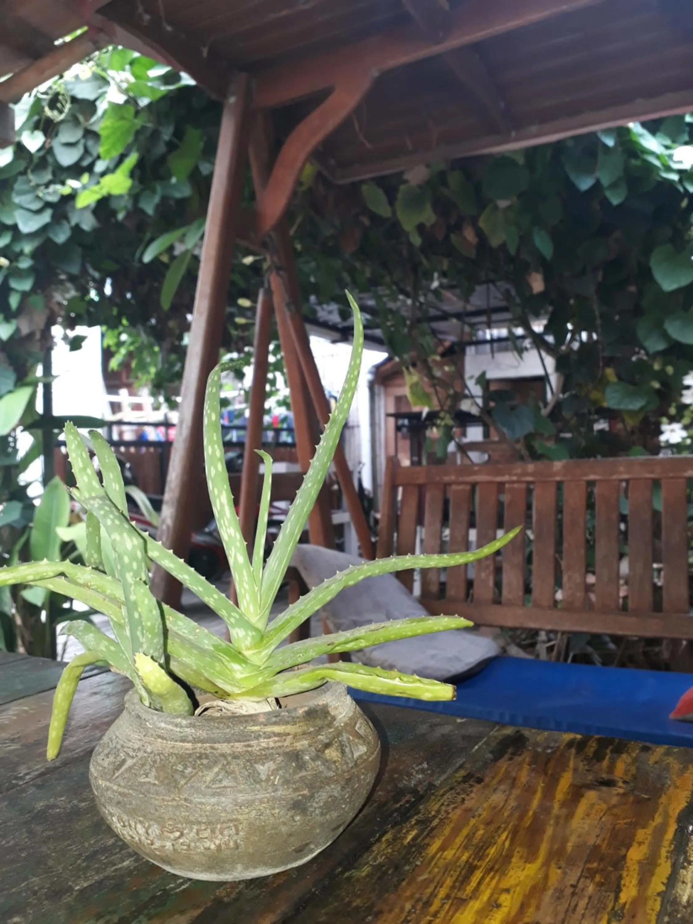 Patio in Arjuna Garden Homestay