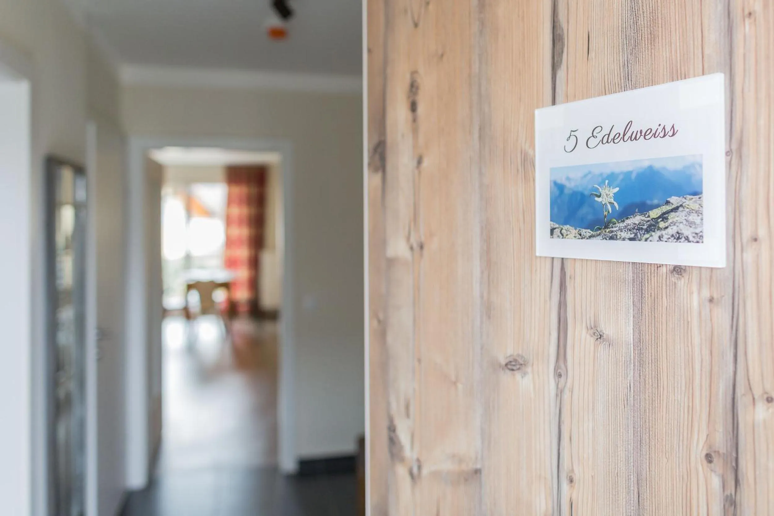 Decorative detail in HOMEBOUND APARTMENTS Salzburg City II - contactless check-in