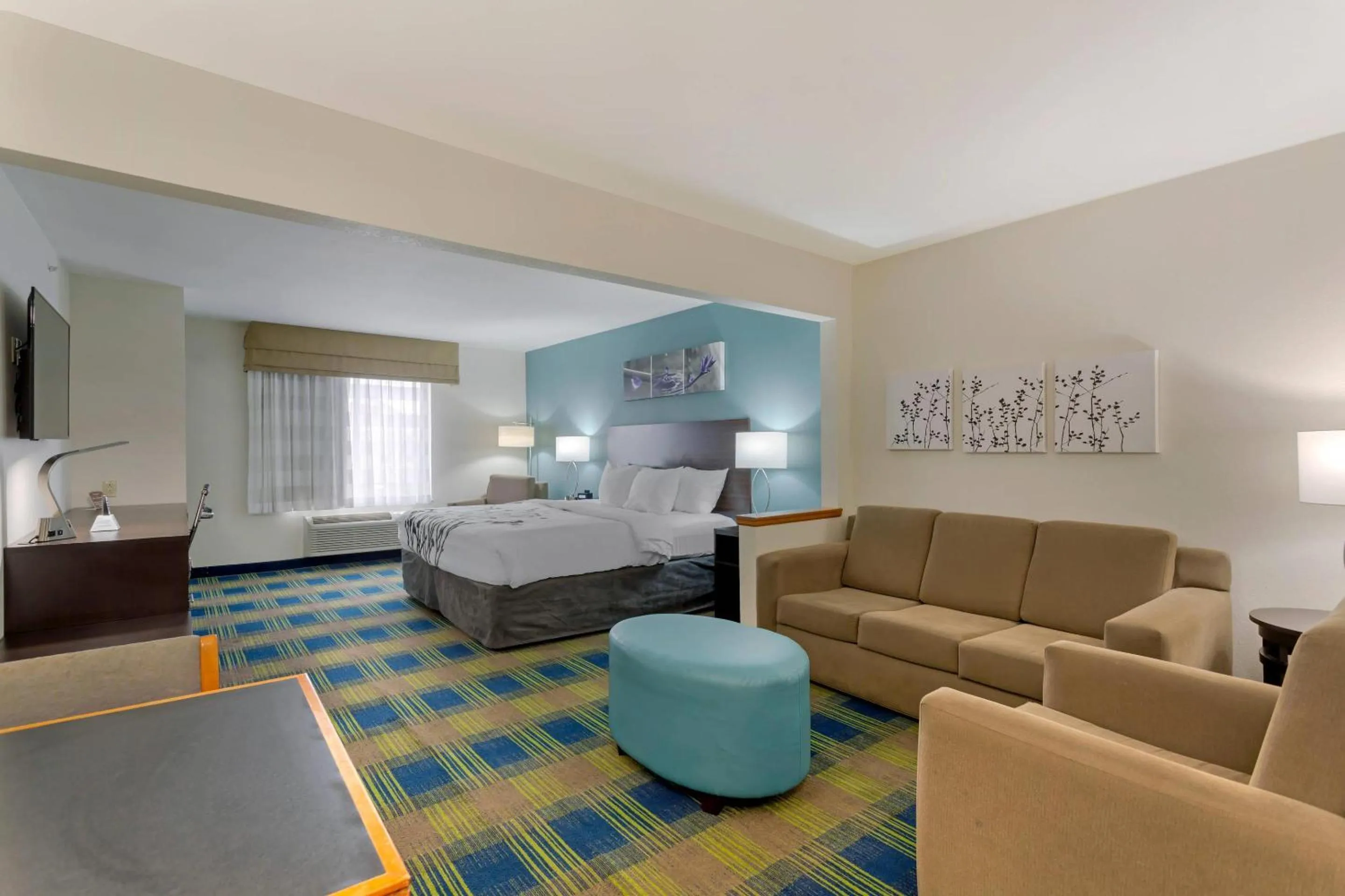 Bedroom, Bed in Sleep Inn & Suites Smyrna - Nashville Area
