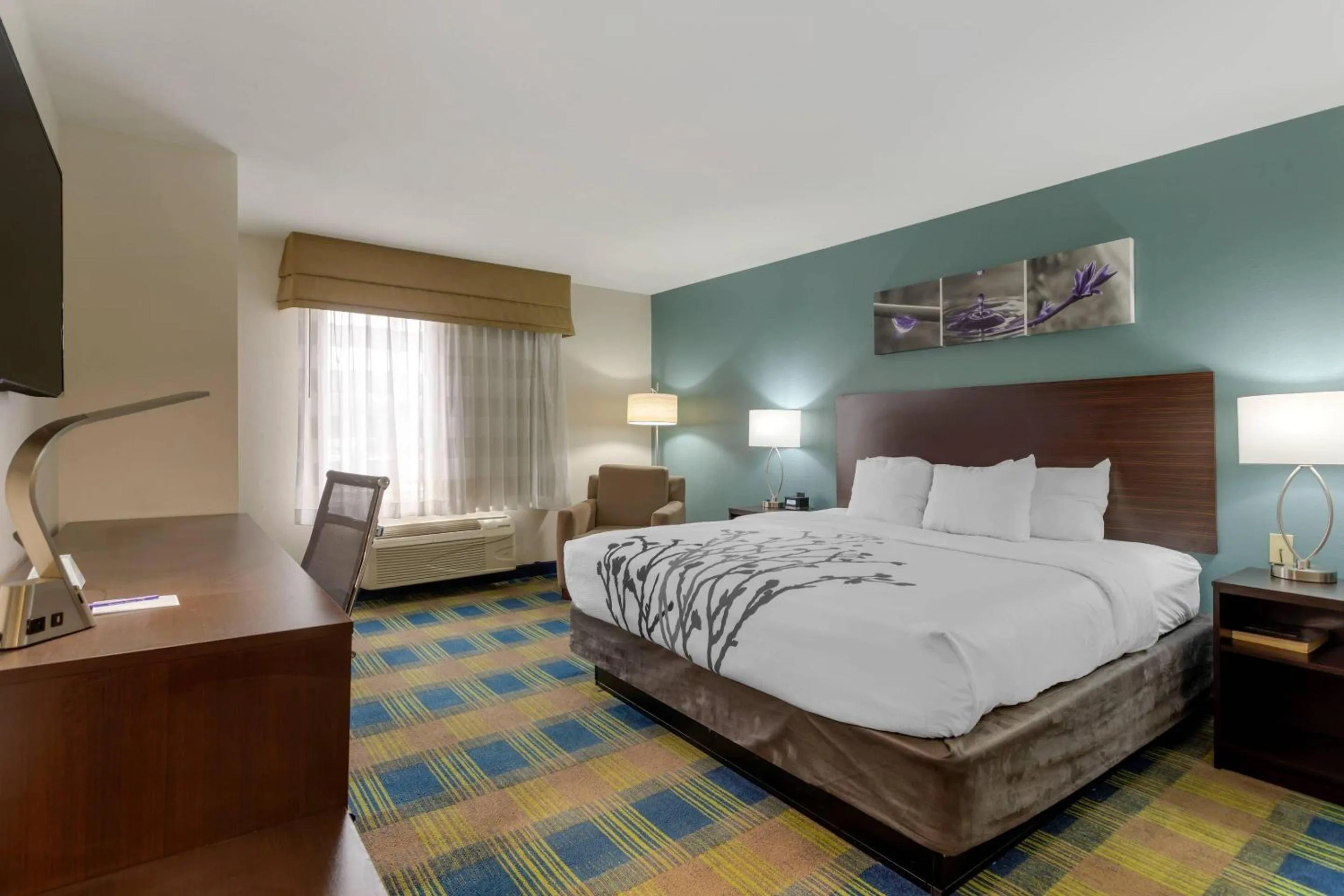Bedroom, Bed in Sleep Inn & Suites Smyrna - Nashville Area