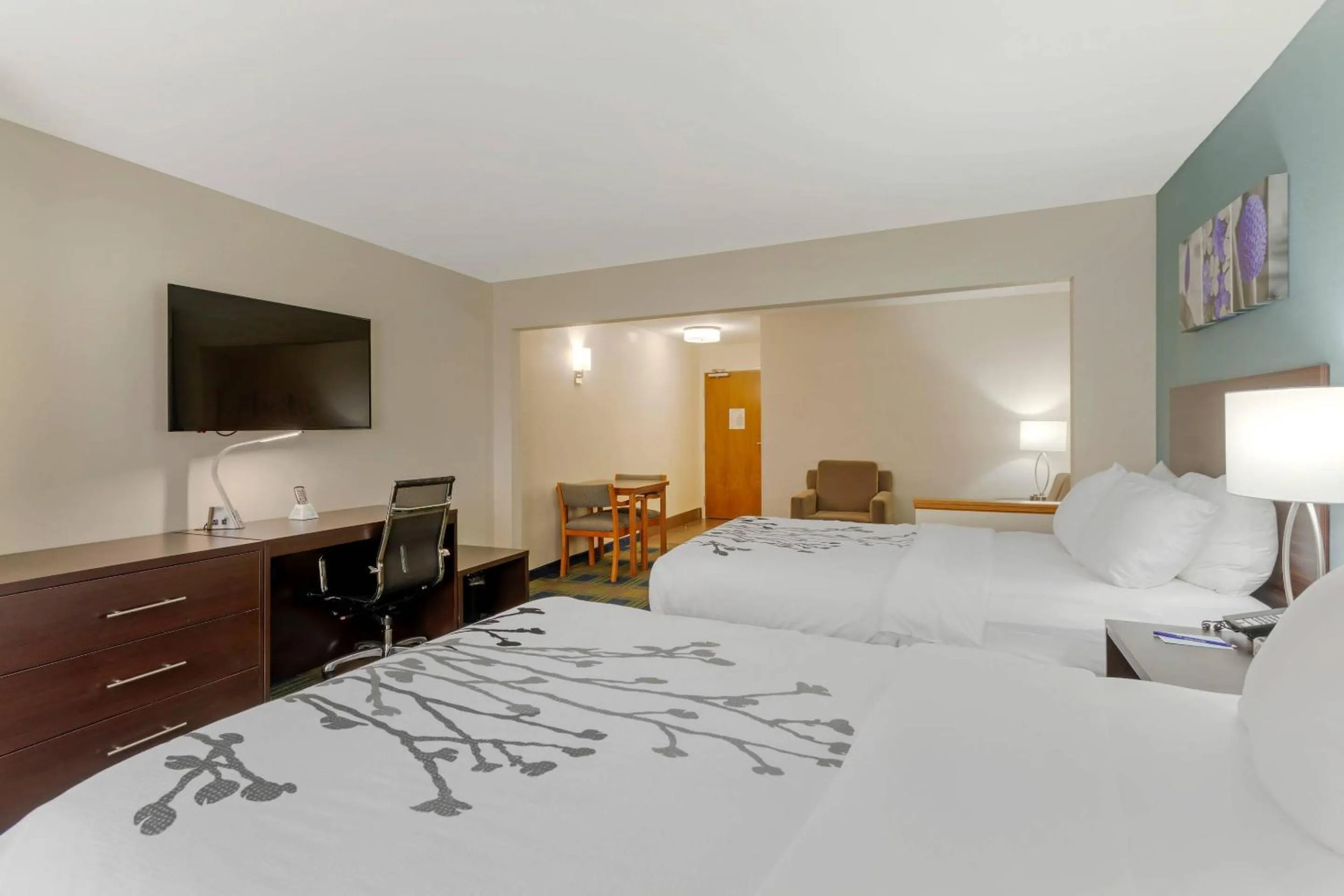 Bedroom, Bed in Sleep Inn & Suites Smyrna - Nashville Area