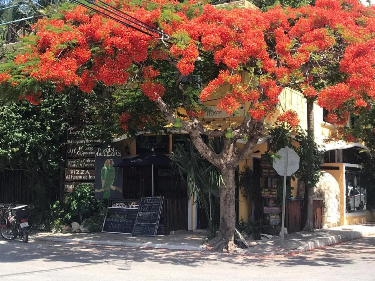 Facade/entrance in Maison Tulum