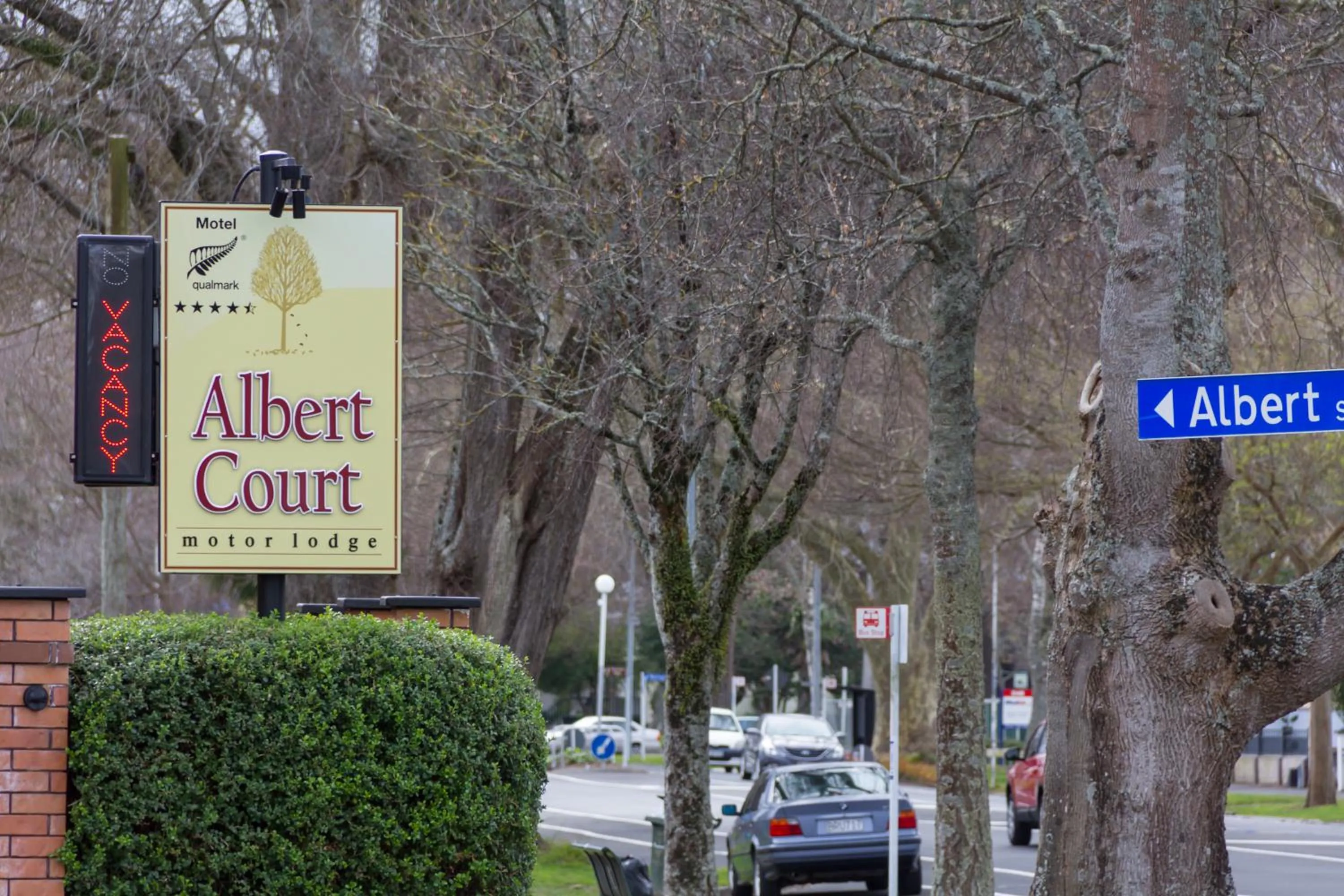 Area and facilities in Albert Court Motor Lodge
