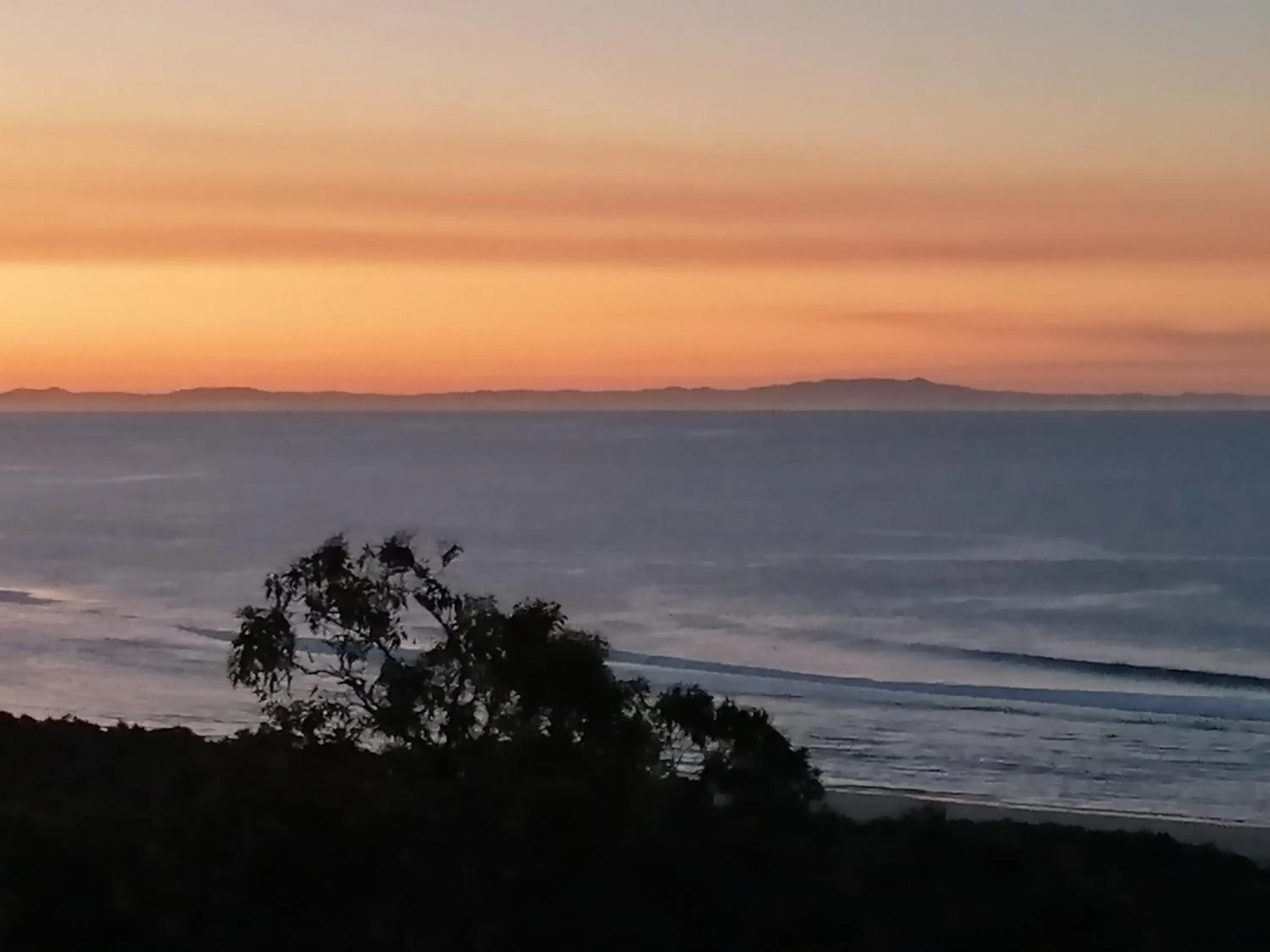 View (from property/room) in Pandanus Palms Holiday Resort