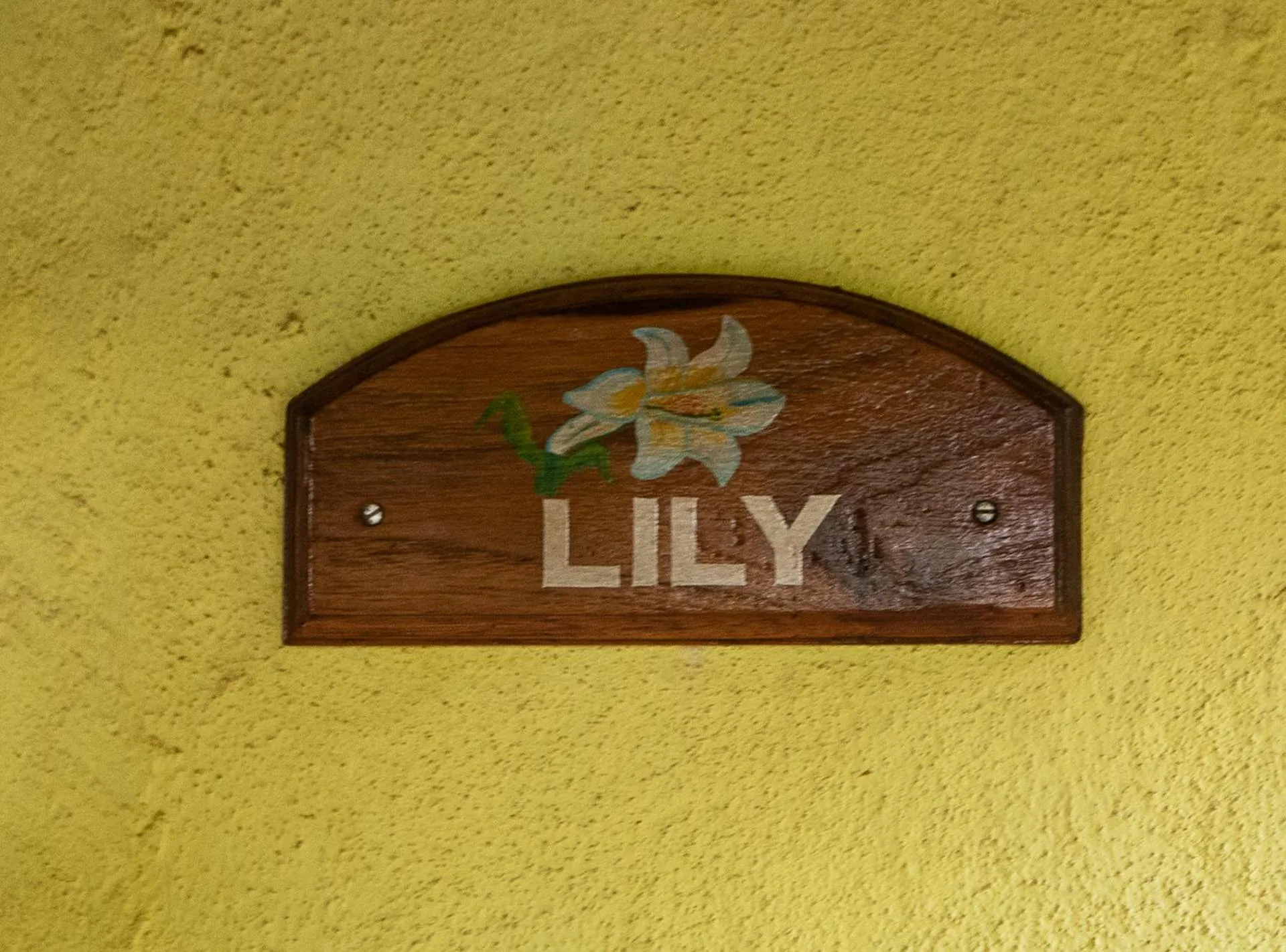 Decorative detail in Presa di Goa - Managed by Smith and Appy