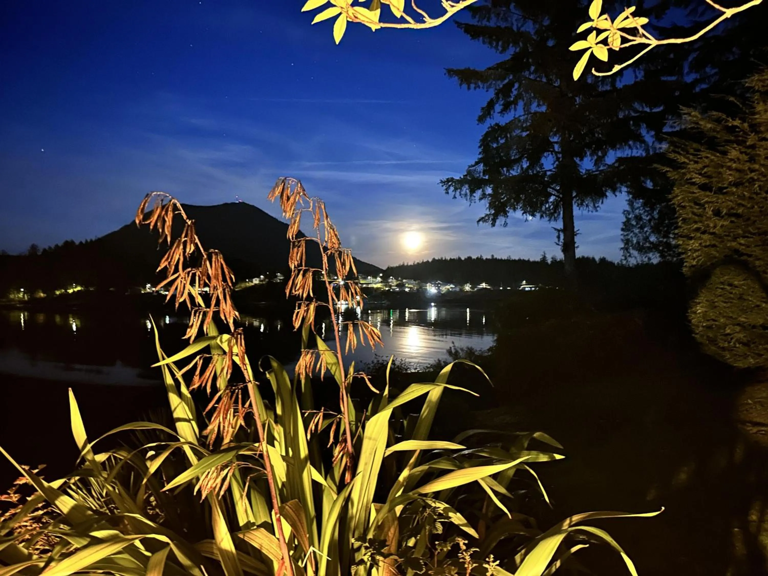 Property building in Beautiful Oceanfront Cabin With Hot Tub! - Gww