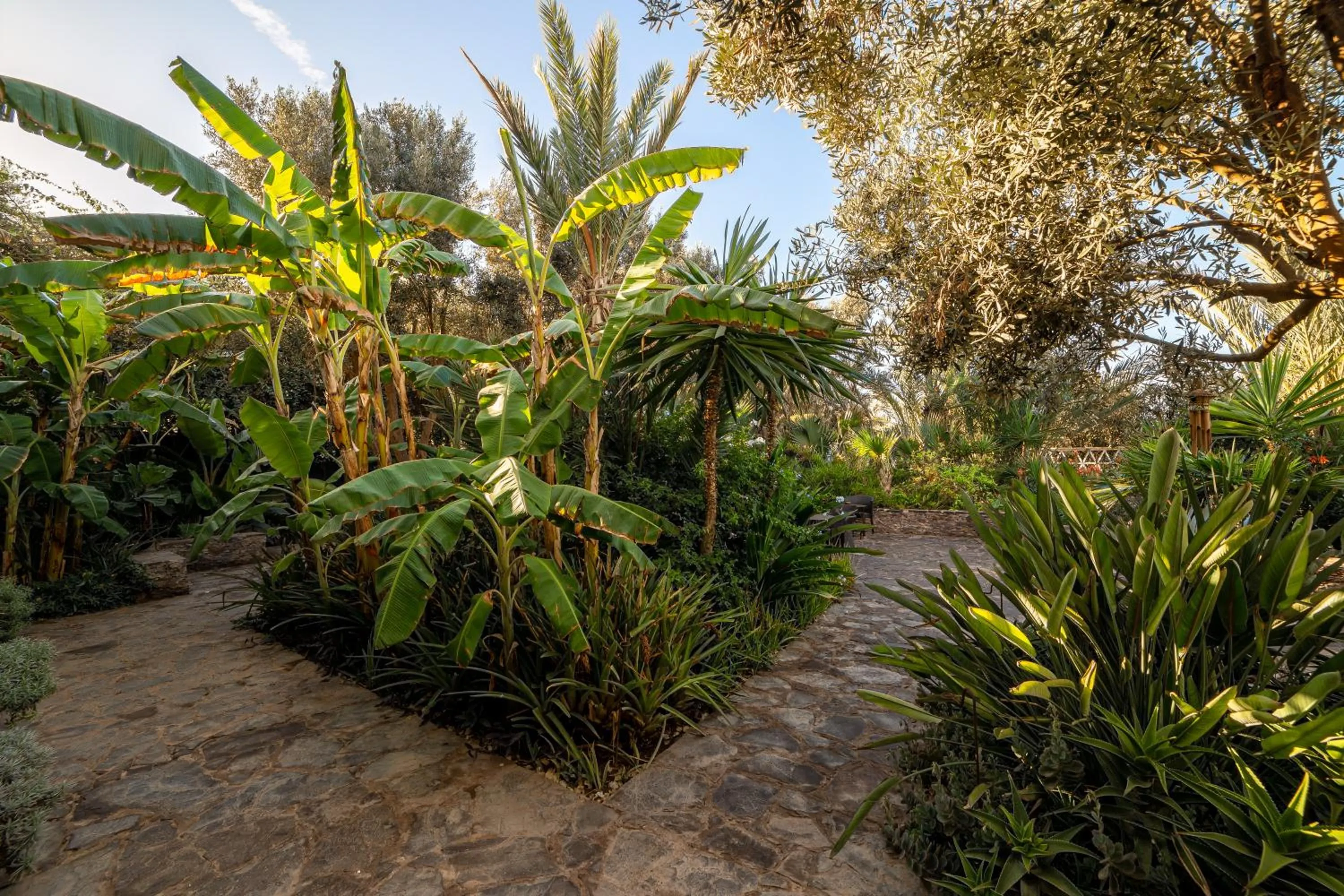 Garden in Le Riad Villa Blanche