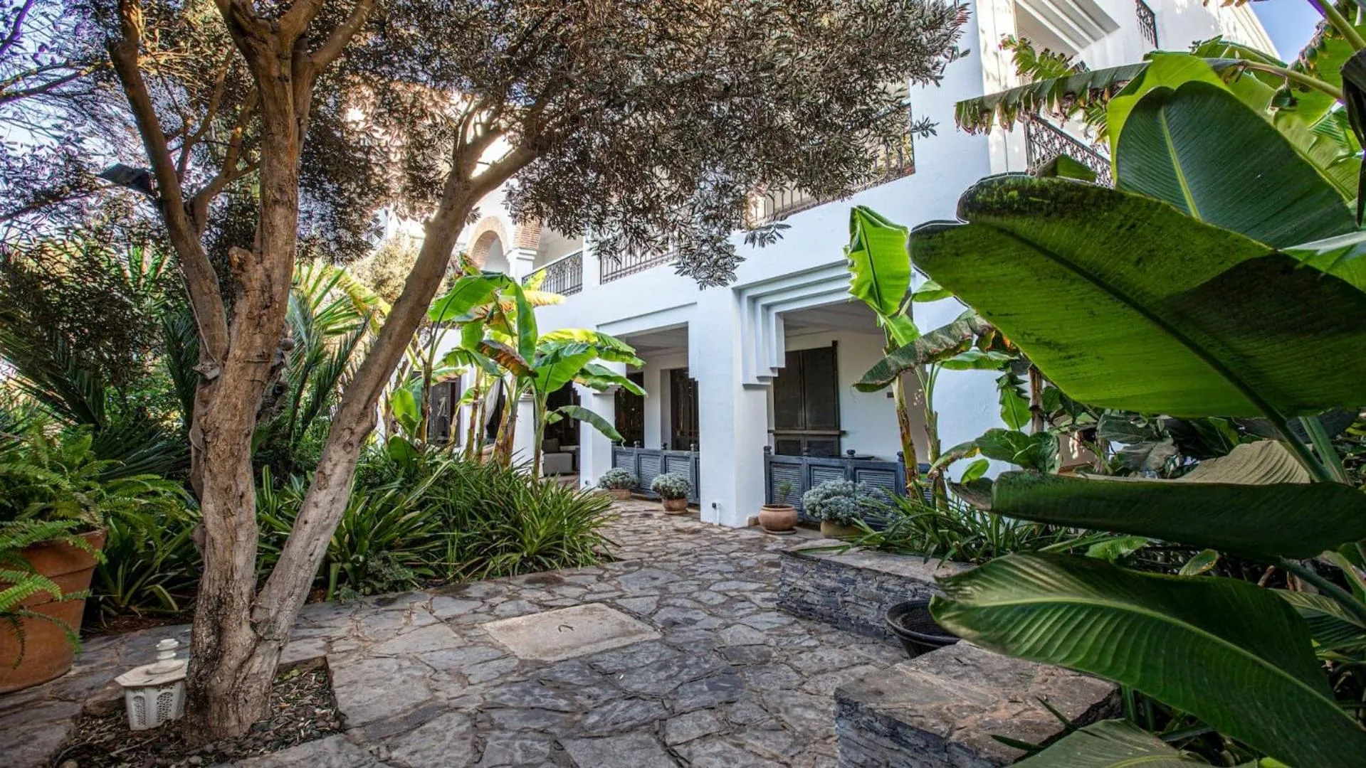 Garden in Le Riad Villa Blanche