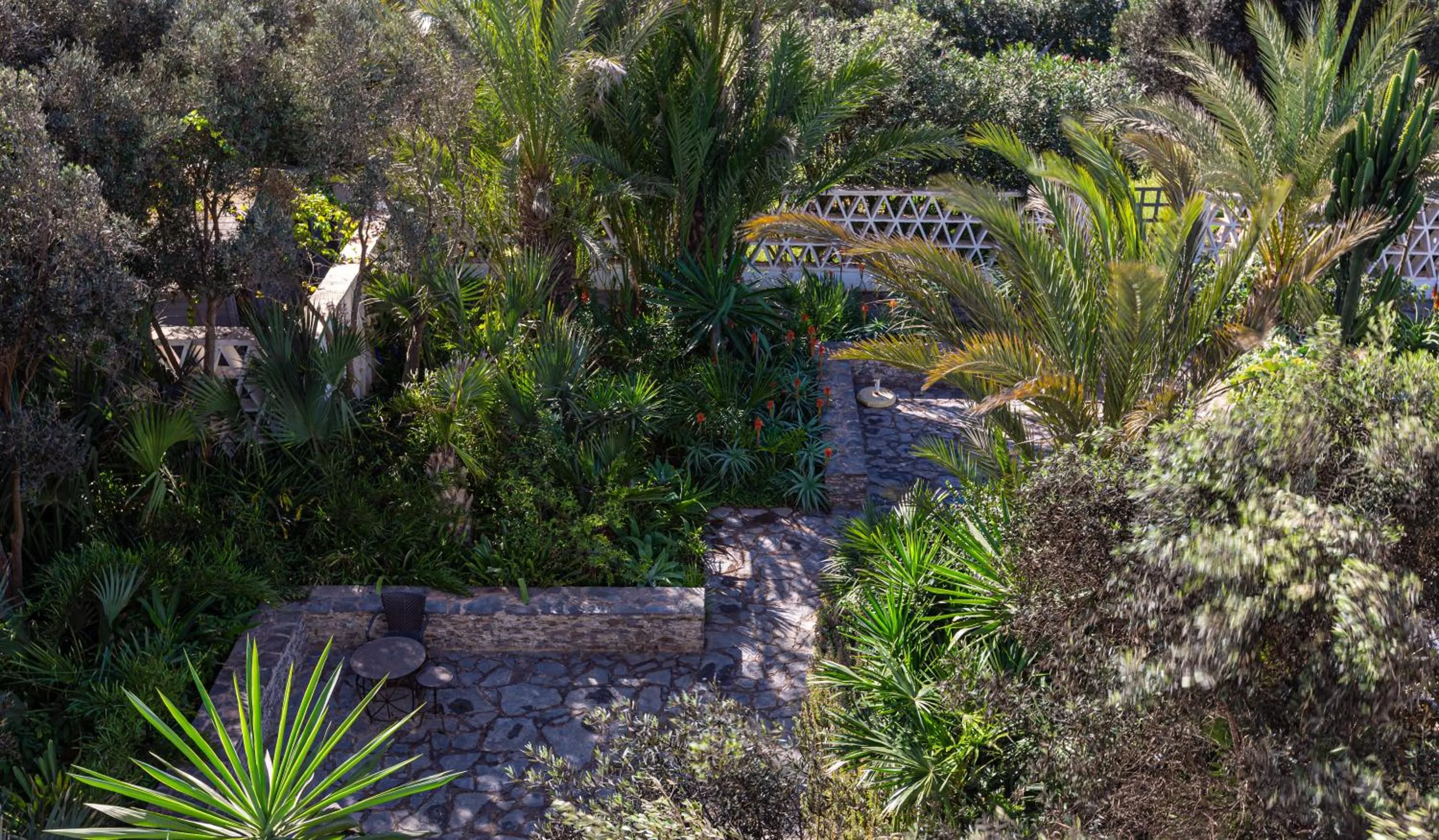 Garden in Le Riad Villa Blanche