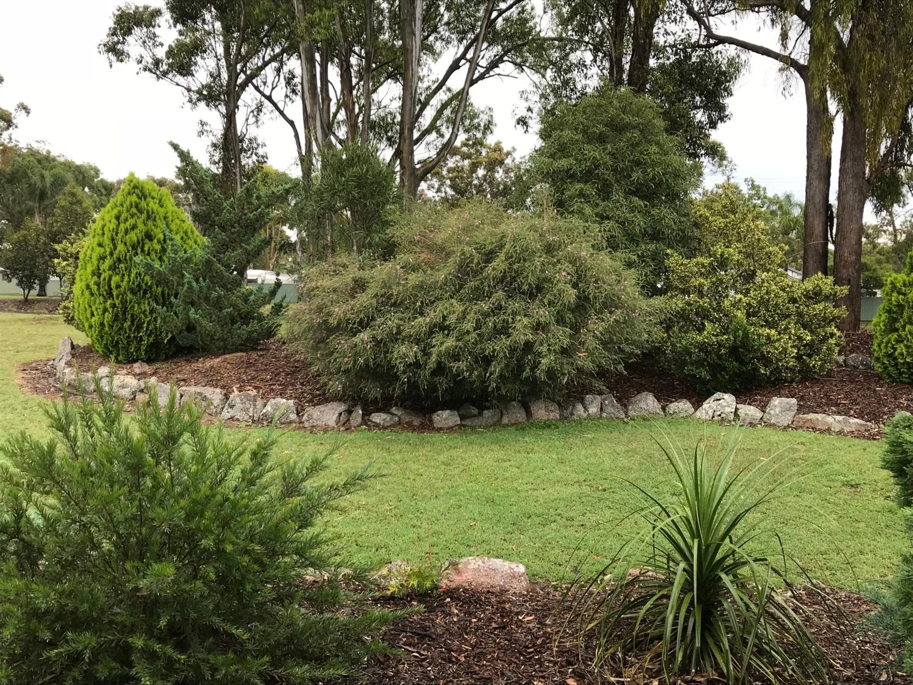 Garden in Crows Nest Motel