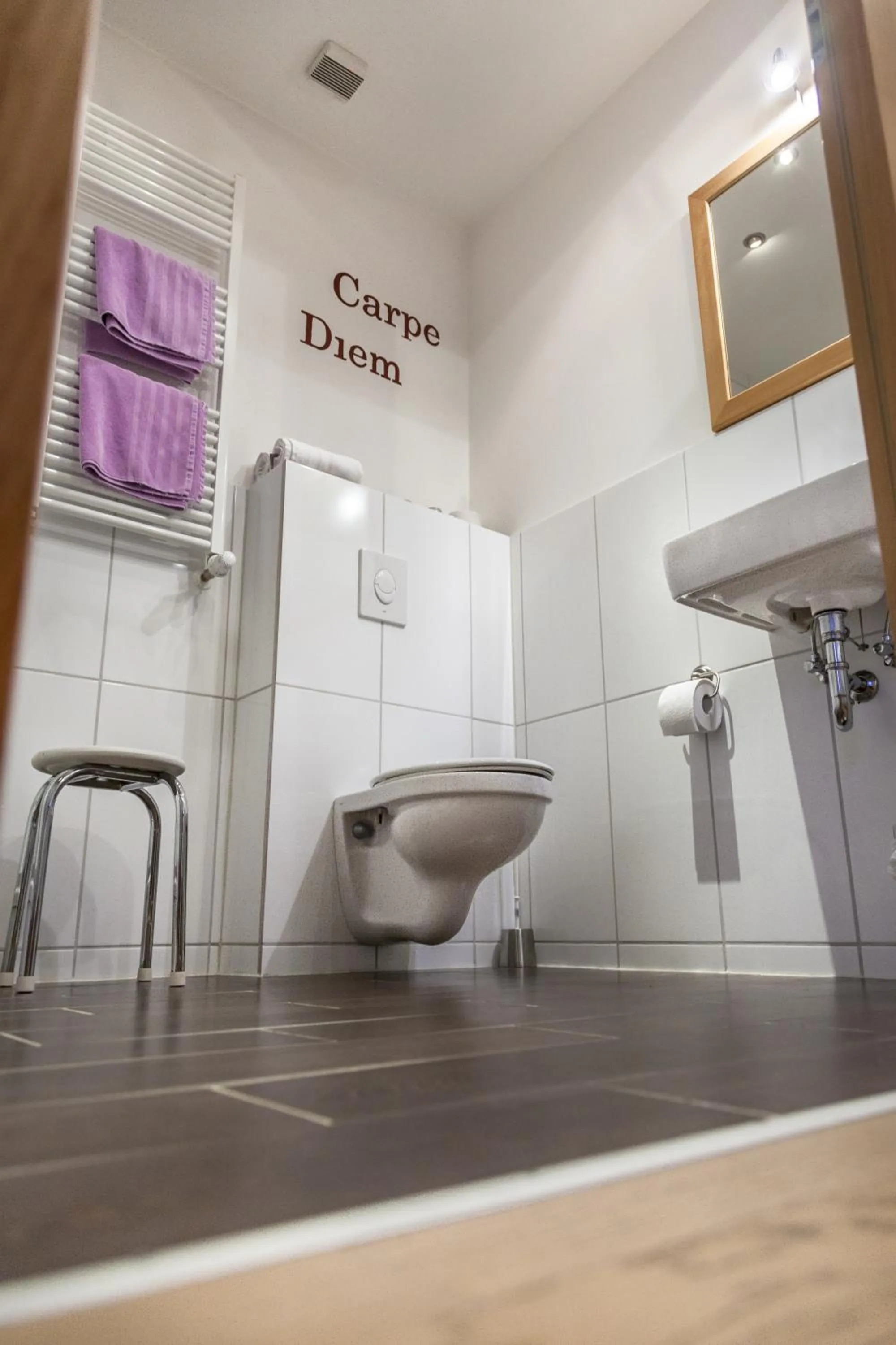 Toilet in Hotel-Gasthof Wilder Mann