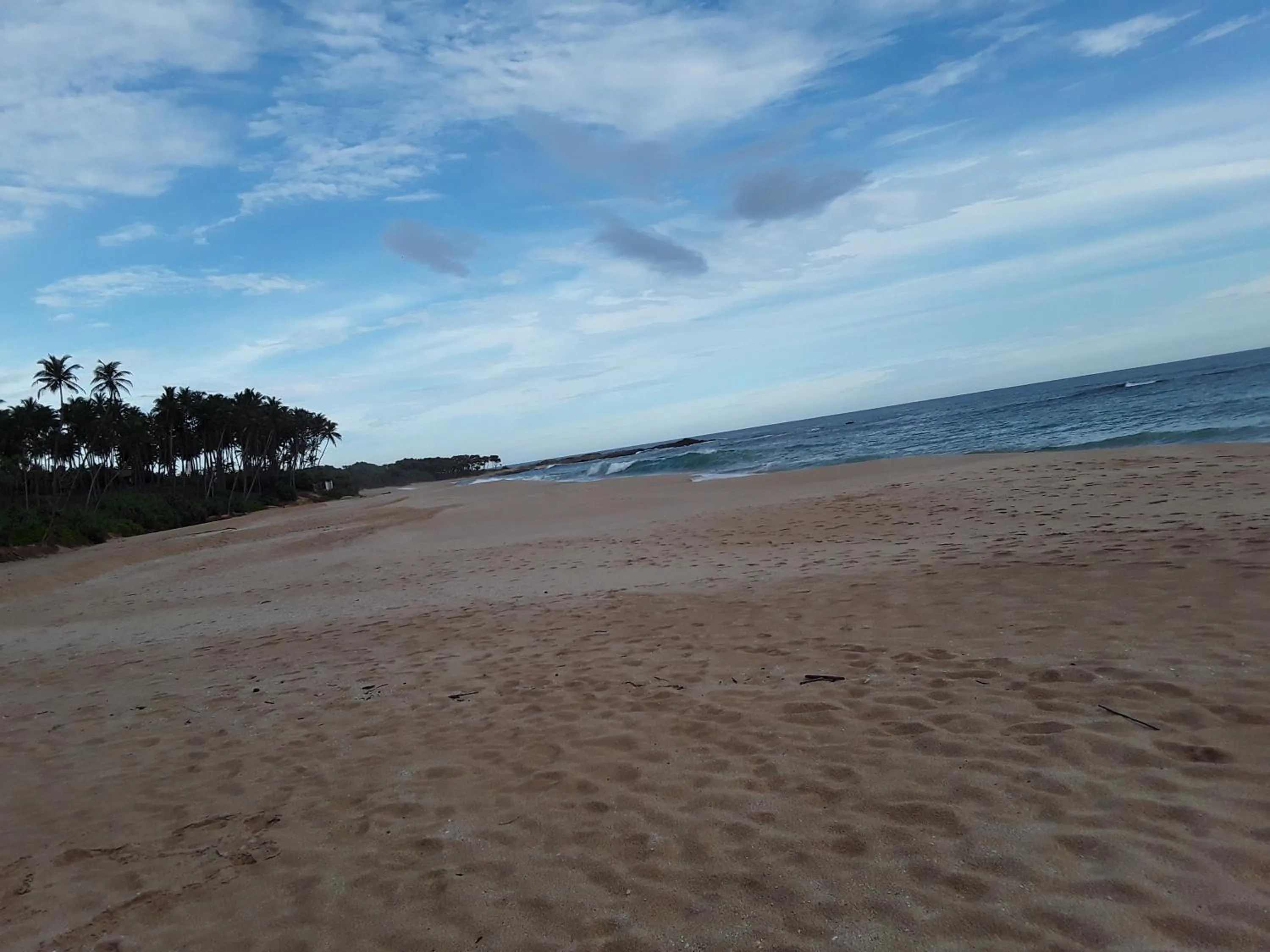 Beach in Green turtle
