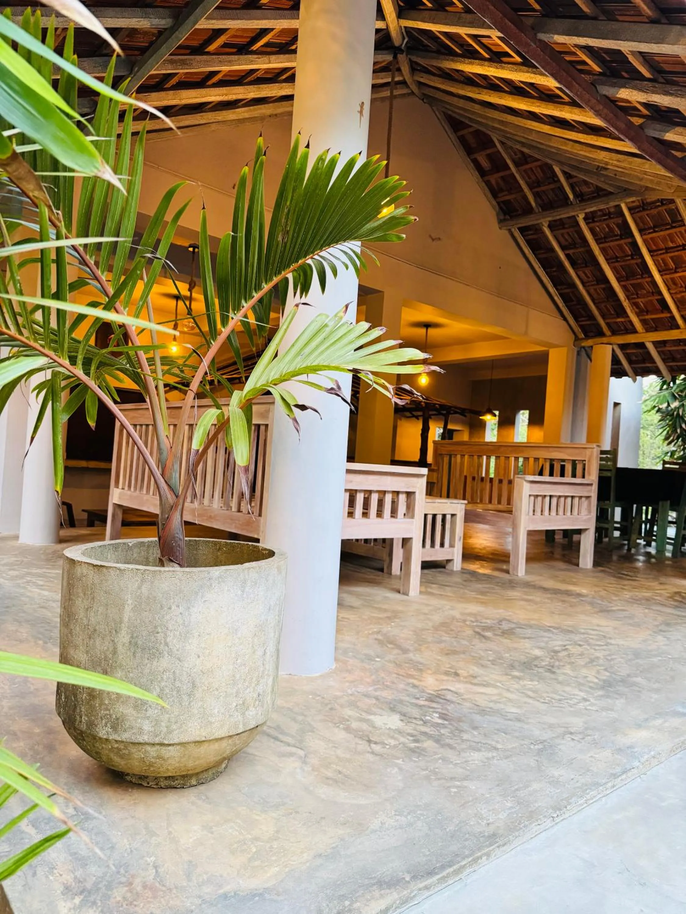 Restaurant/places to eat in Green turtle