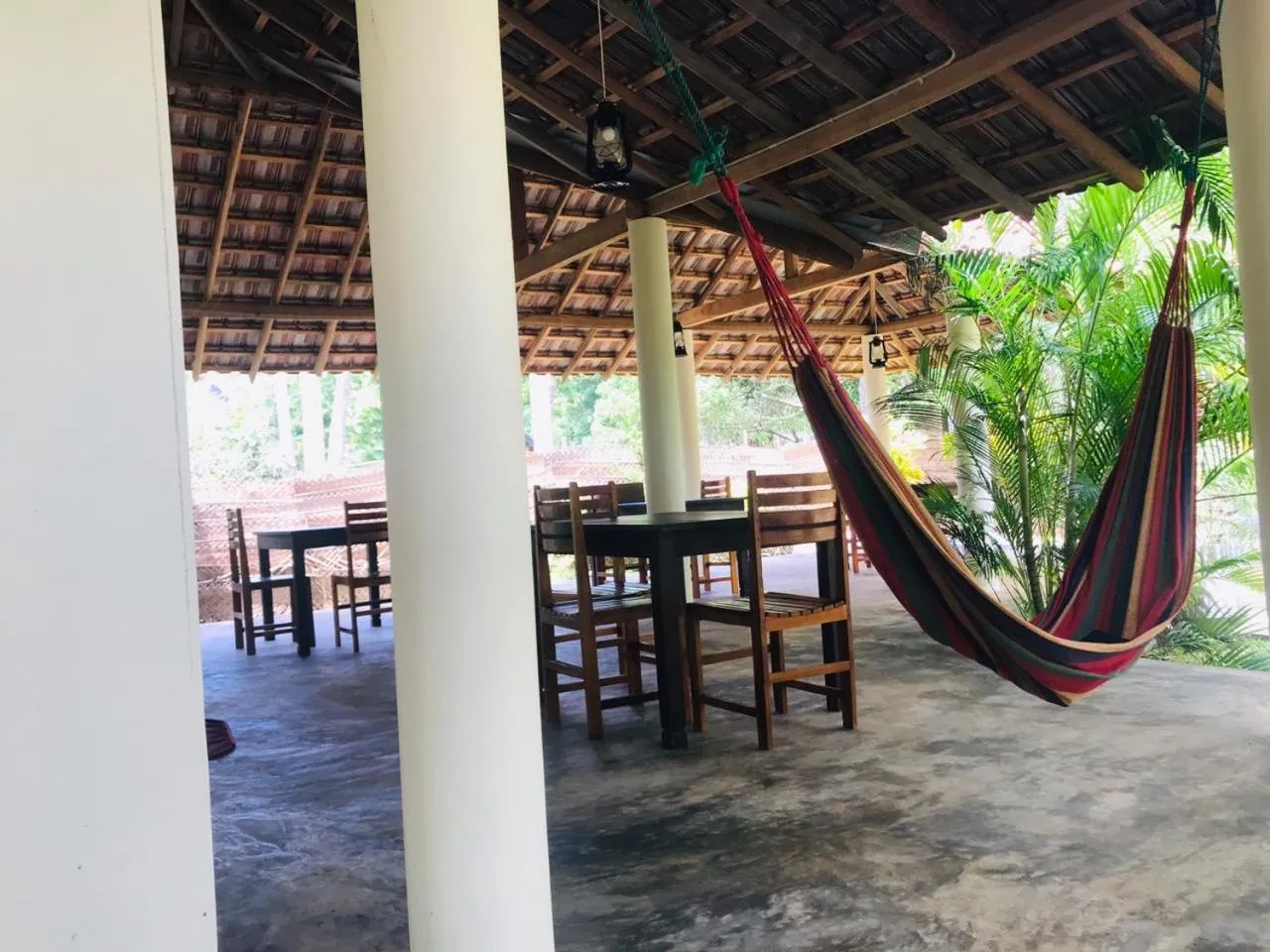 Restaurant/places to eat in Green turtle