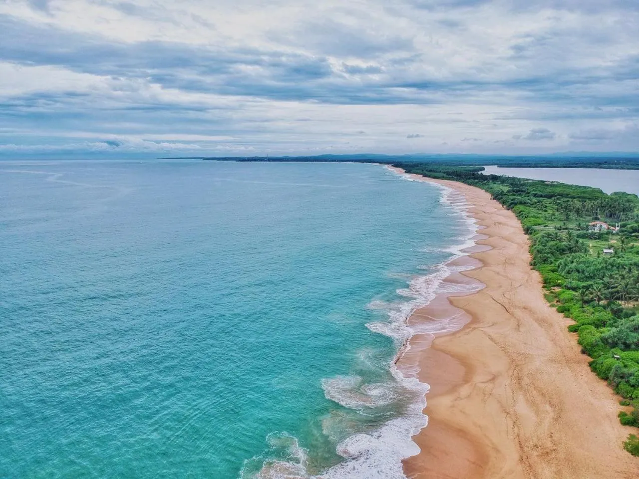 Beach in Green turtle