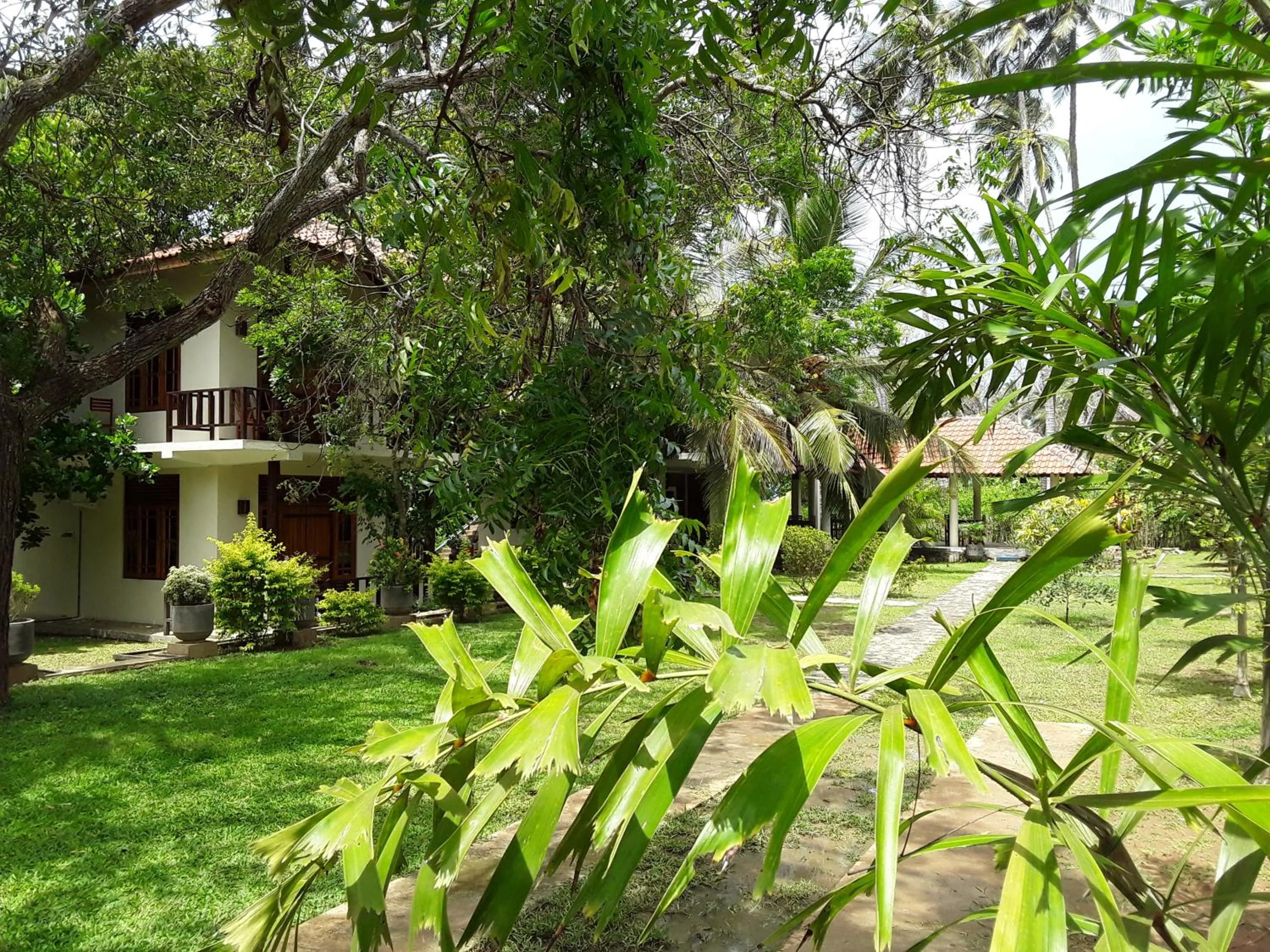 Property building, Garden in Green turtle