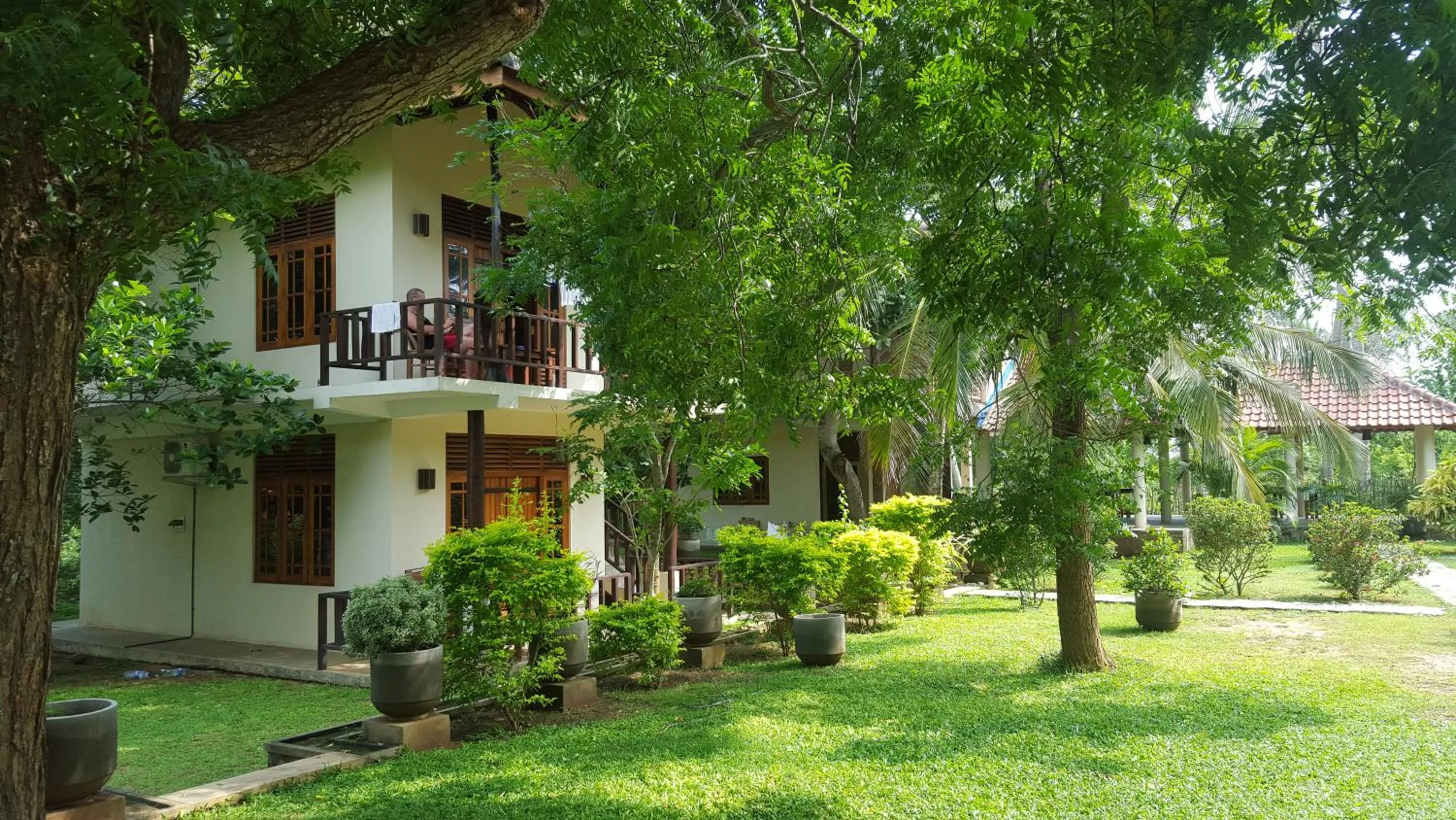 Property Building in Green turtle