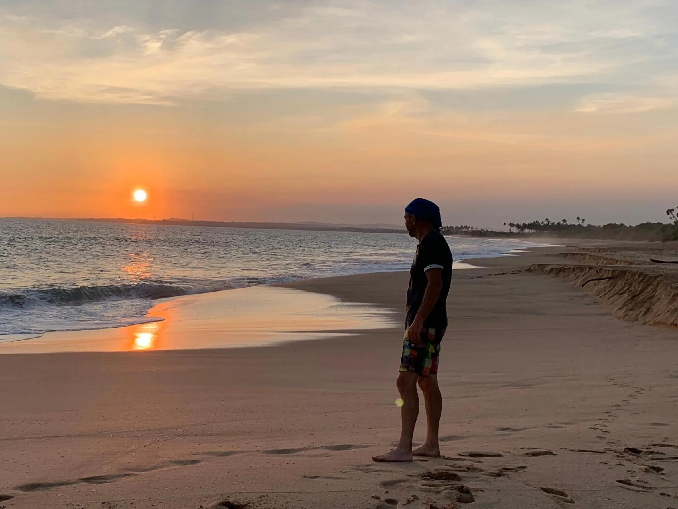 Location, Beach in Green turtle