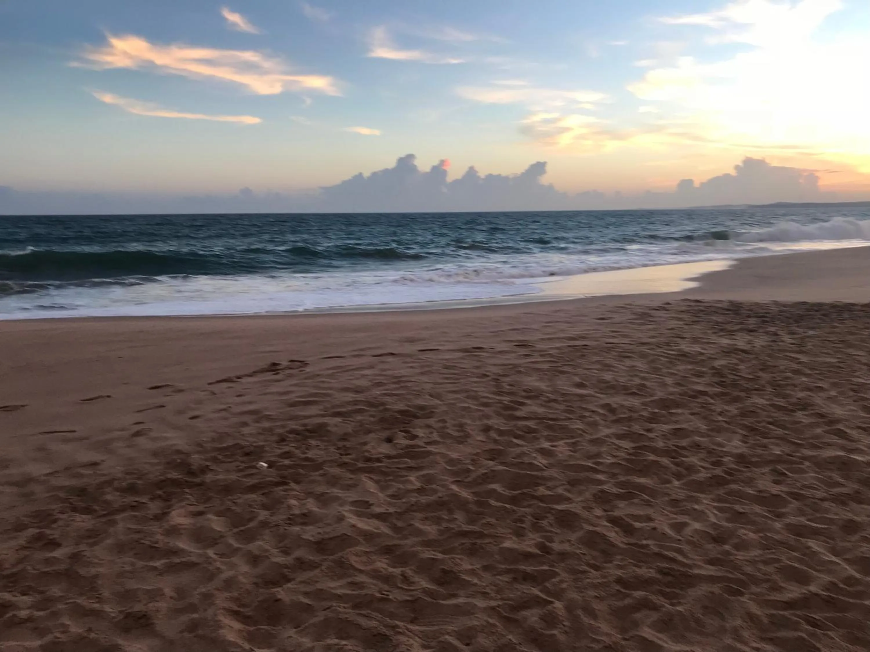 Beach in Green turtle