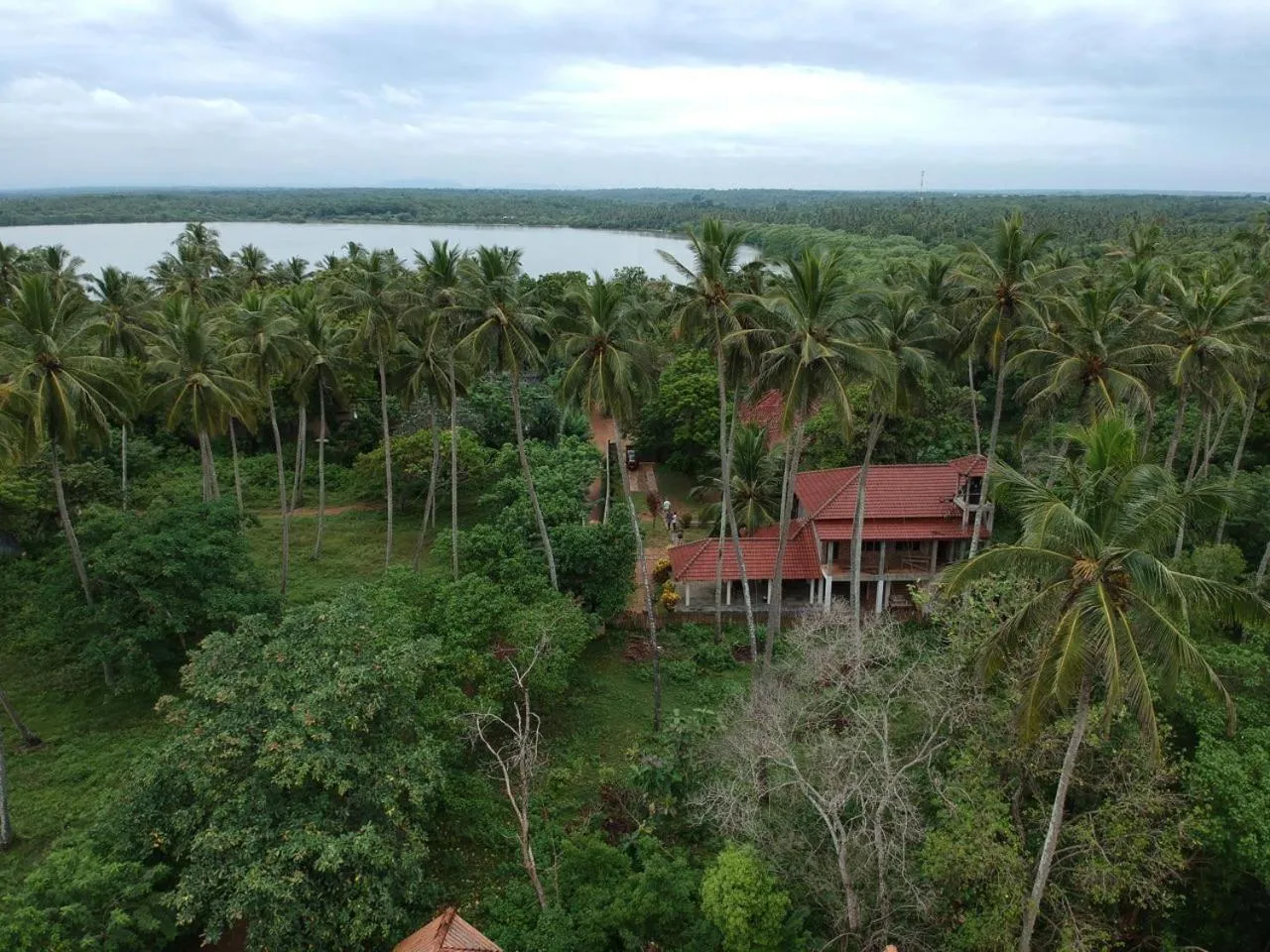 Other, Bird's-eye View in Green turtle