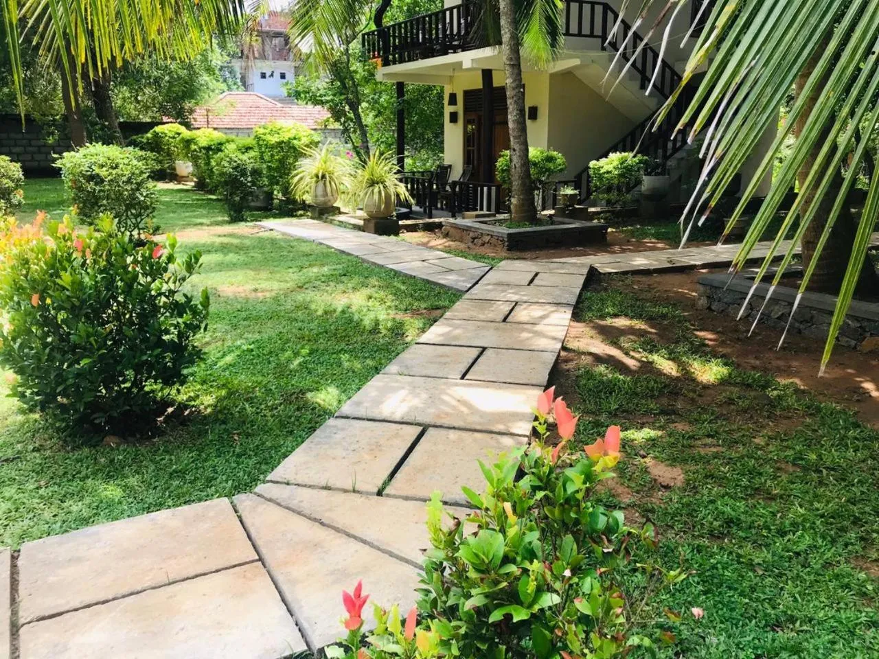 Garden in Green turtle