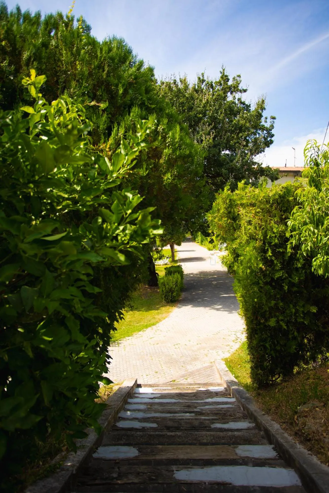 Garden in Residenza Giancesare Family Apartments