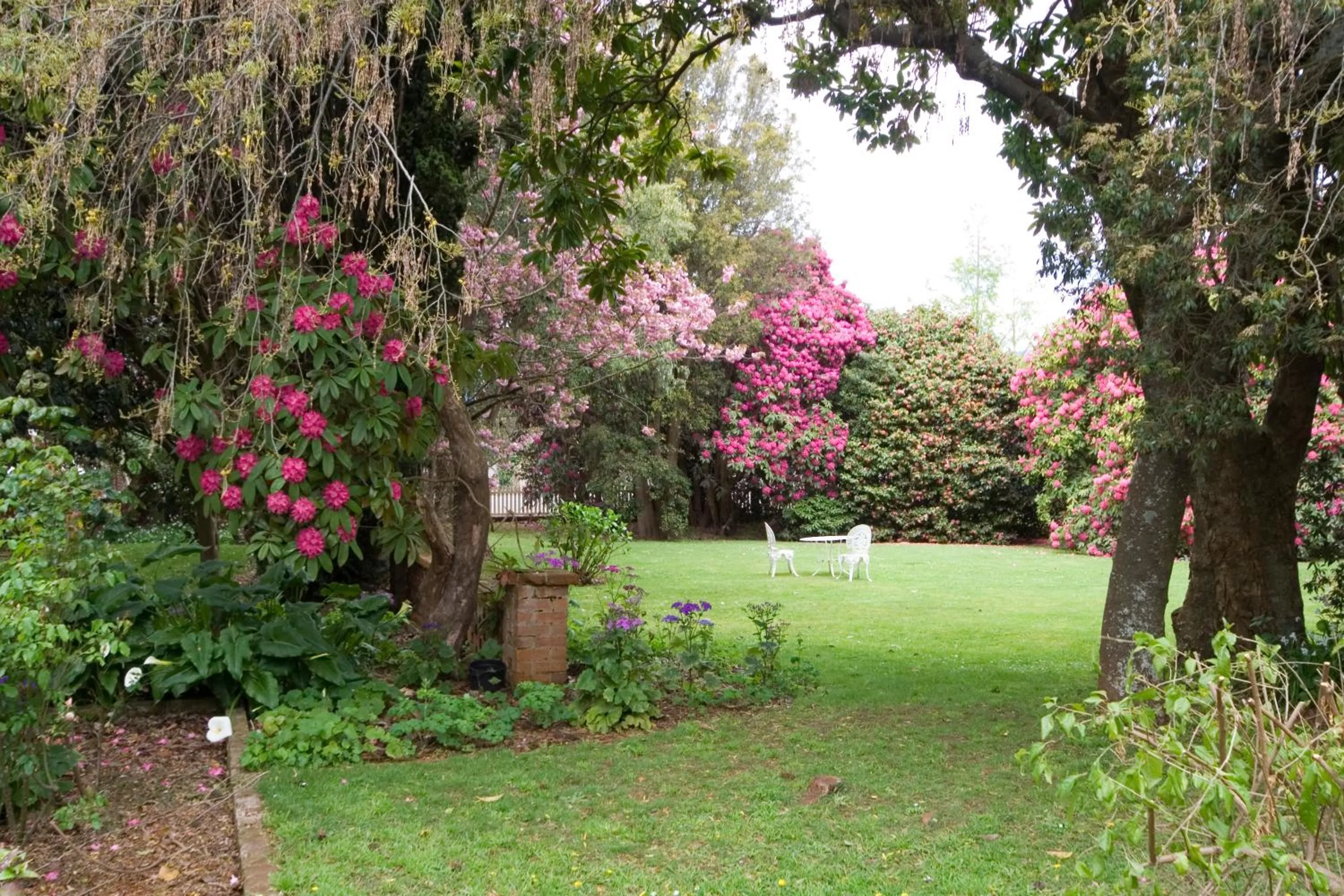 Garden in Anabel's of Scottsdale