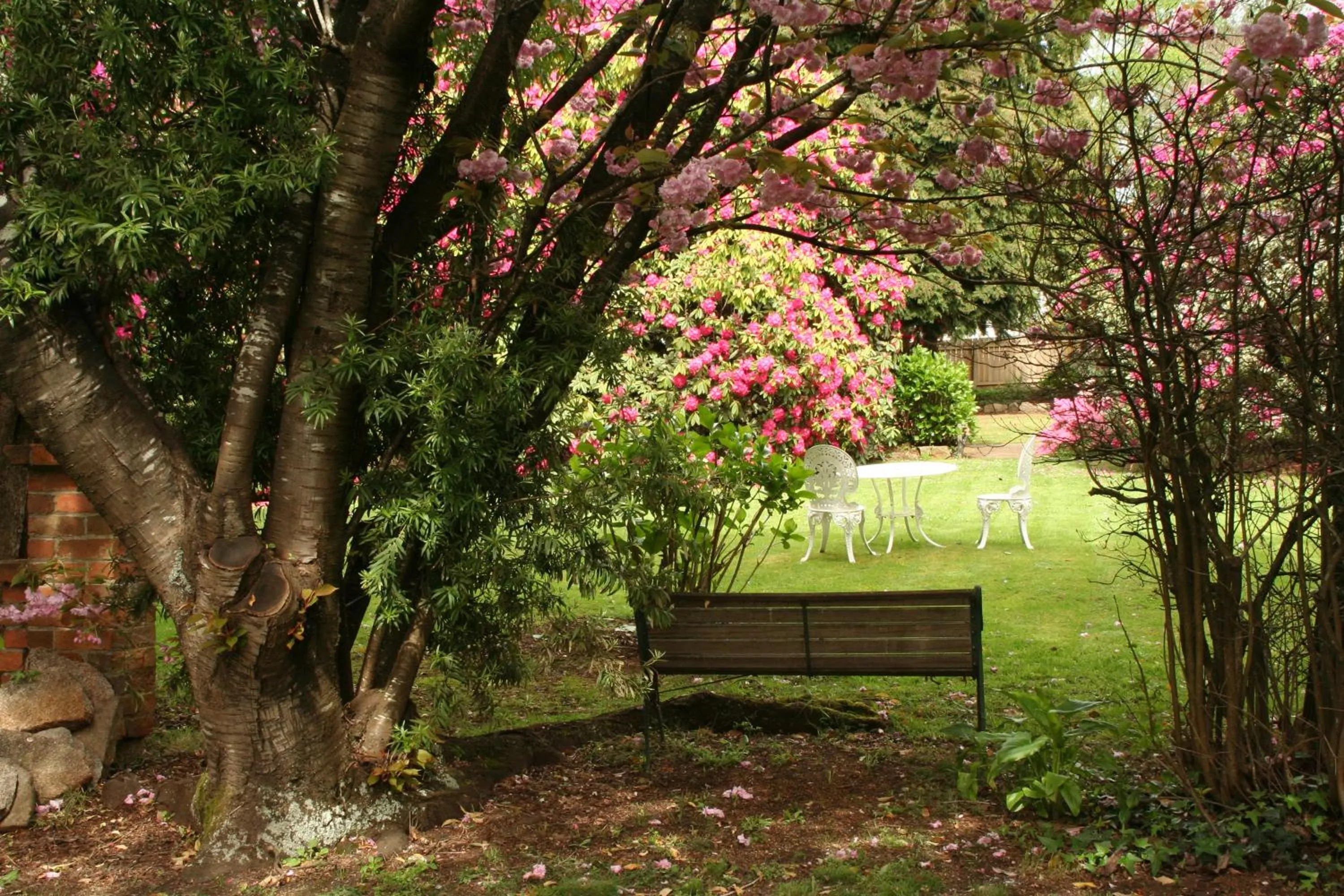 Garden in Anabel's of Scottsdale