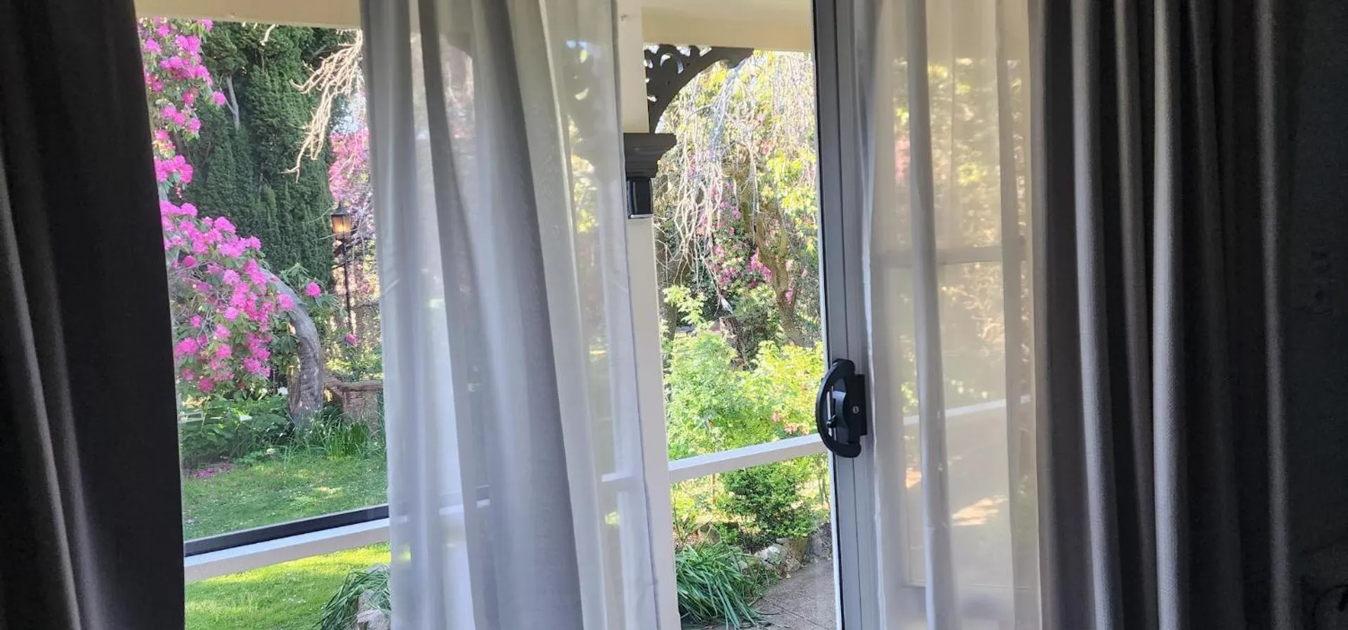 Garden in Anabel's of Scottsdale