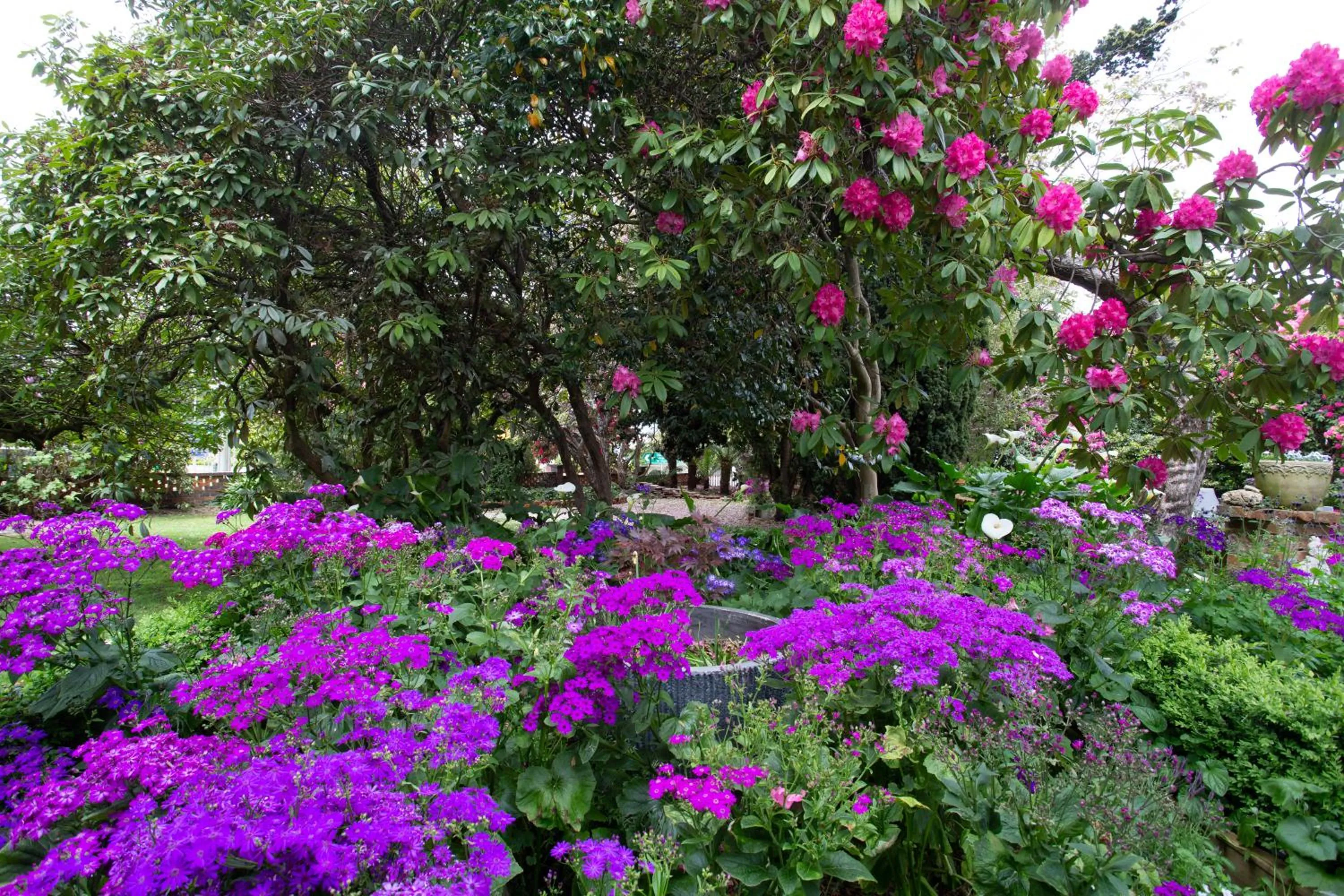 Garden in Anabel's of Scottsdale